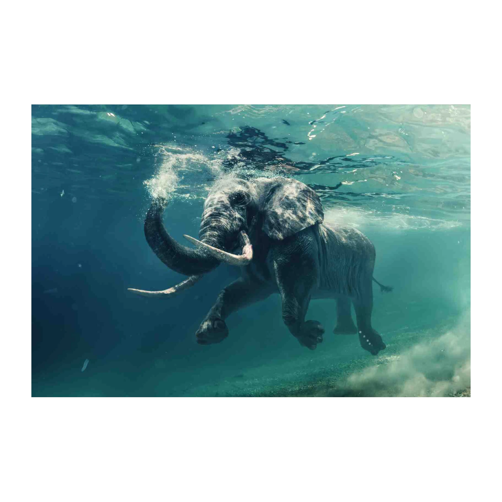 Majestic Elephant Underwater Adventure Wall Art