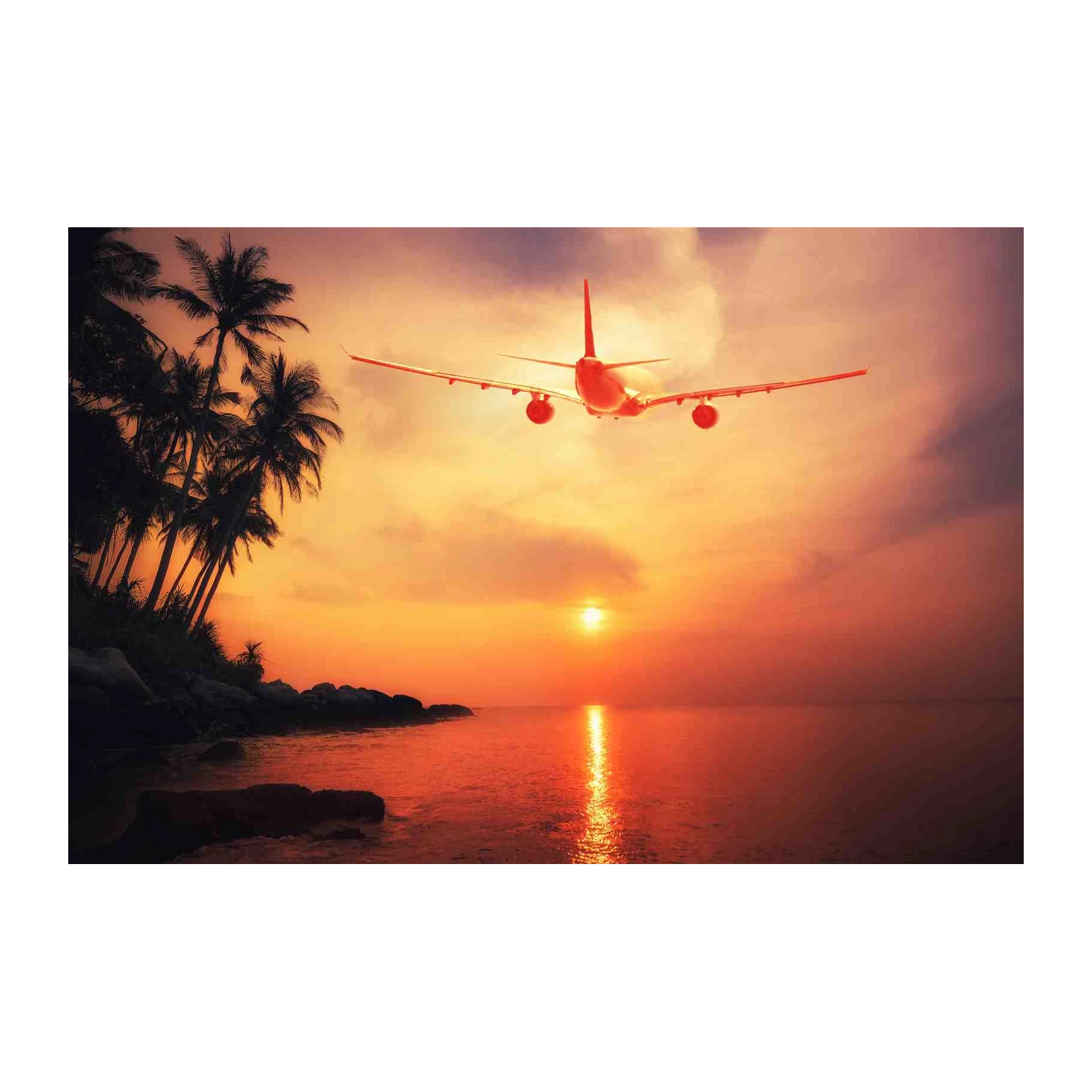 Sunset Airplane Palm Trees Beach Wall Art