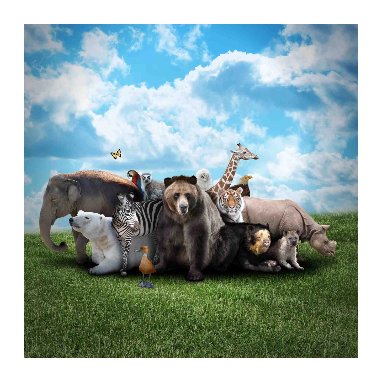 Wild Animals Ensemble Wall Art