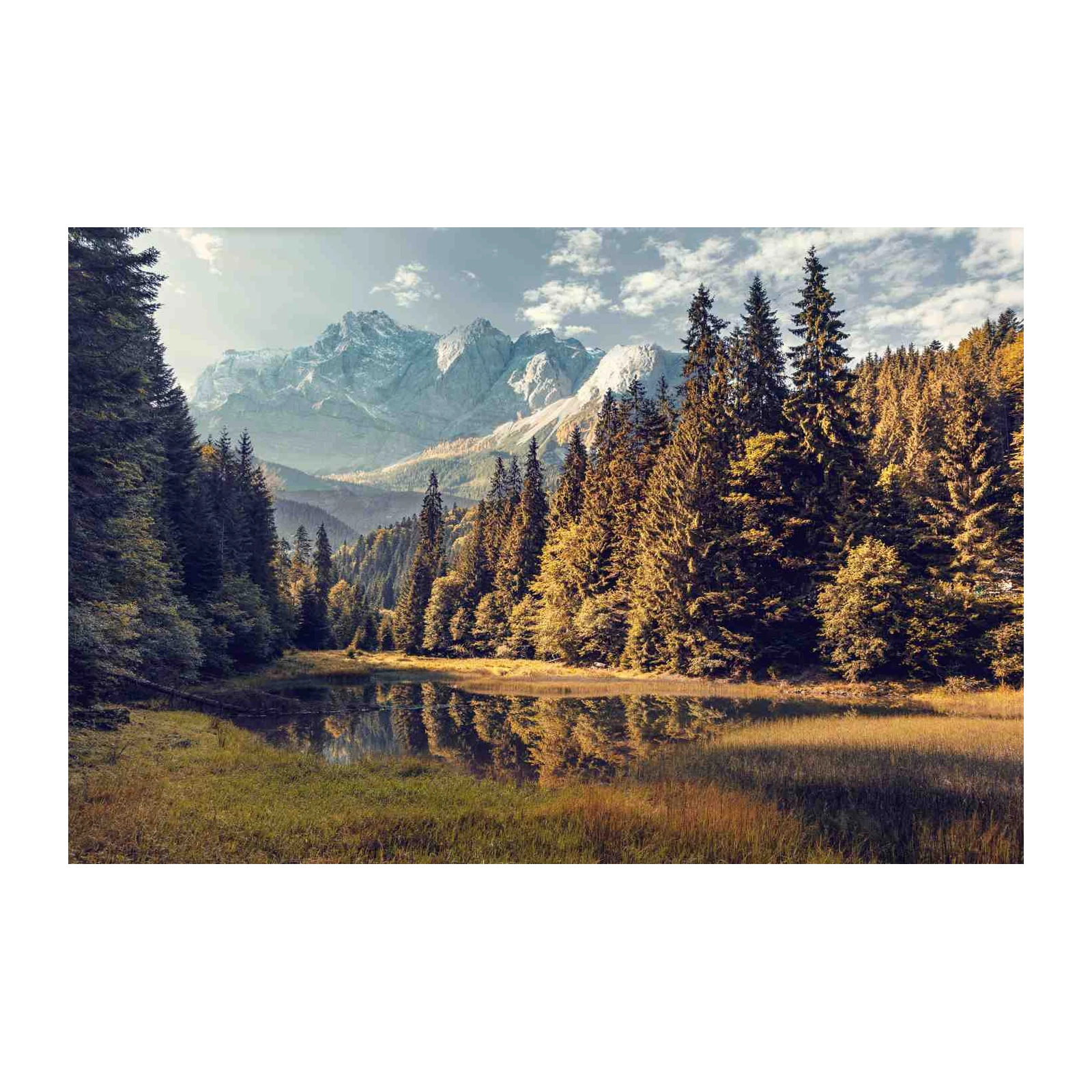 Serene Mountain Lake Forest Landscape Wall Art
