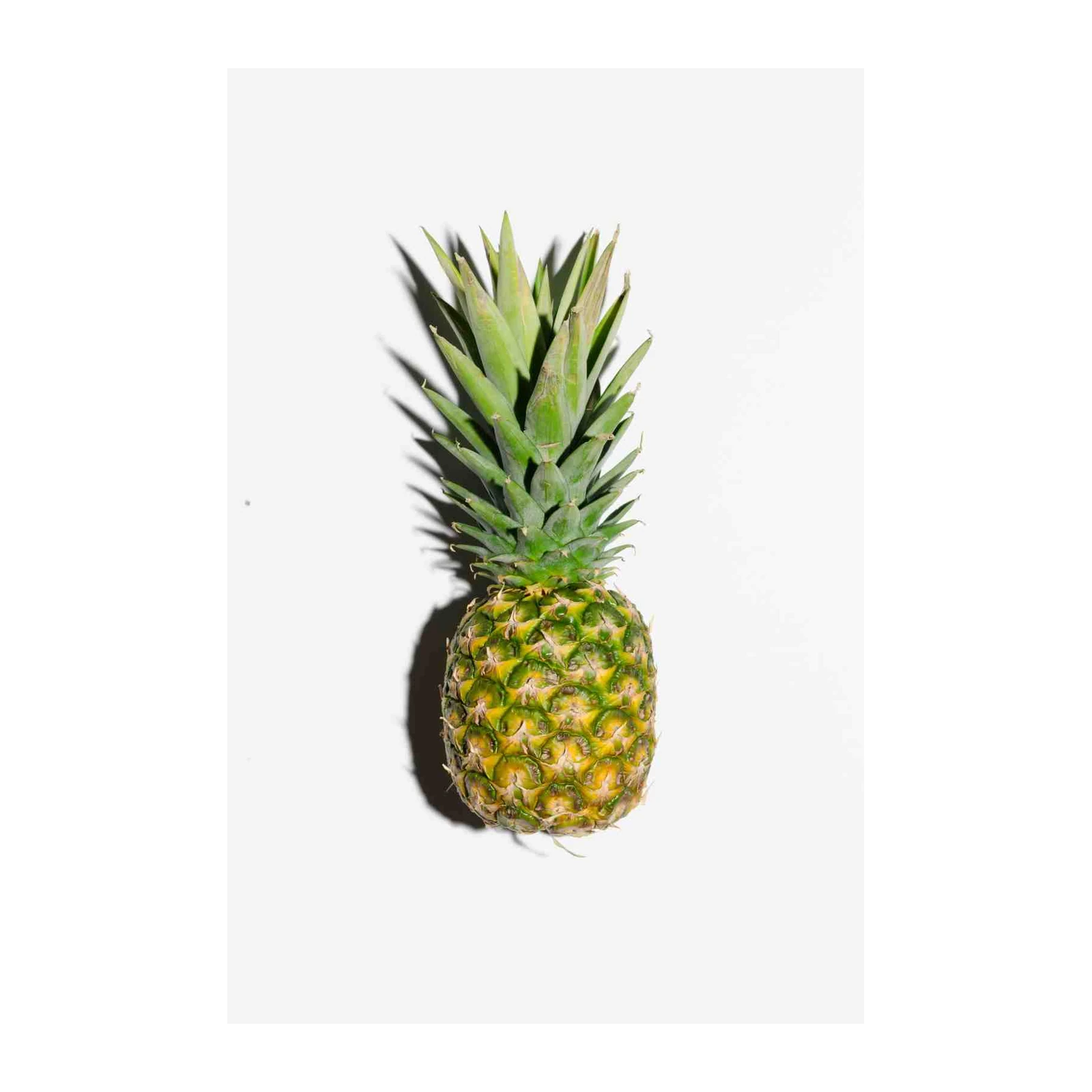 Tropical Pineapple Wall Art Wall Art