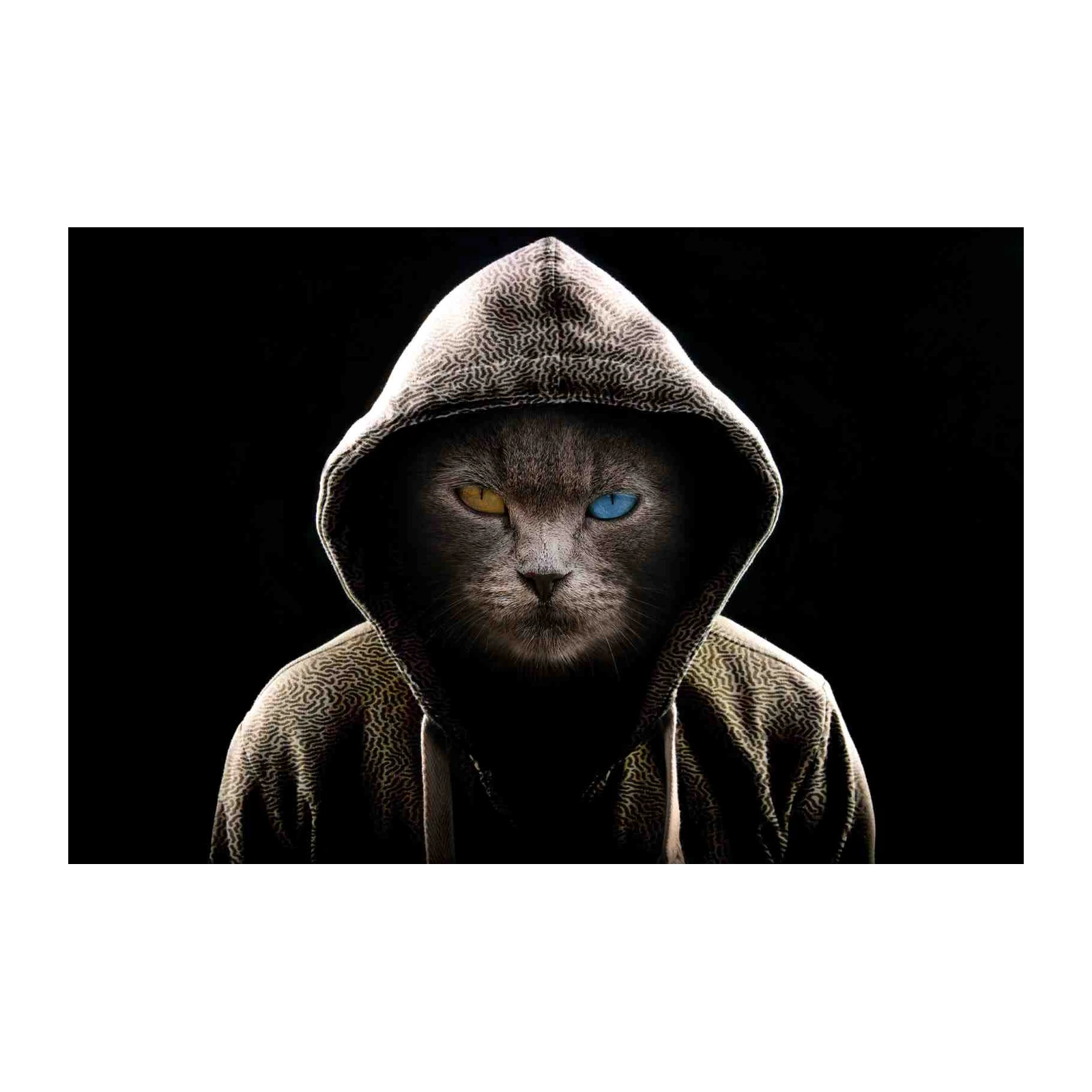 Mysterious Feline with Heterochromia Wall Art