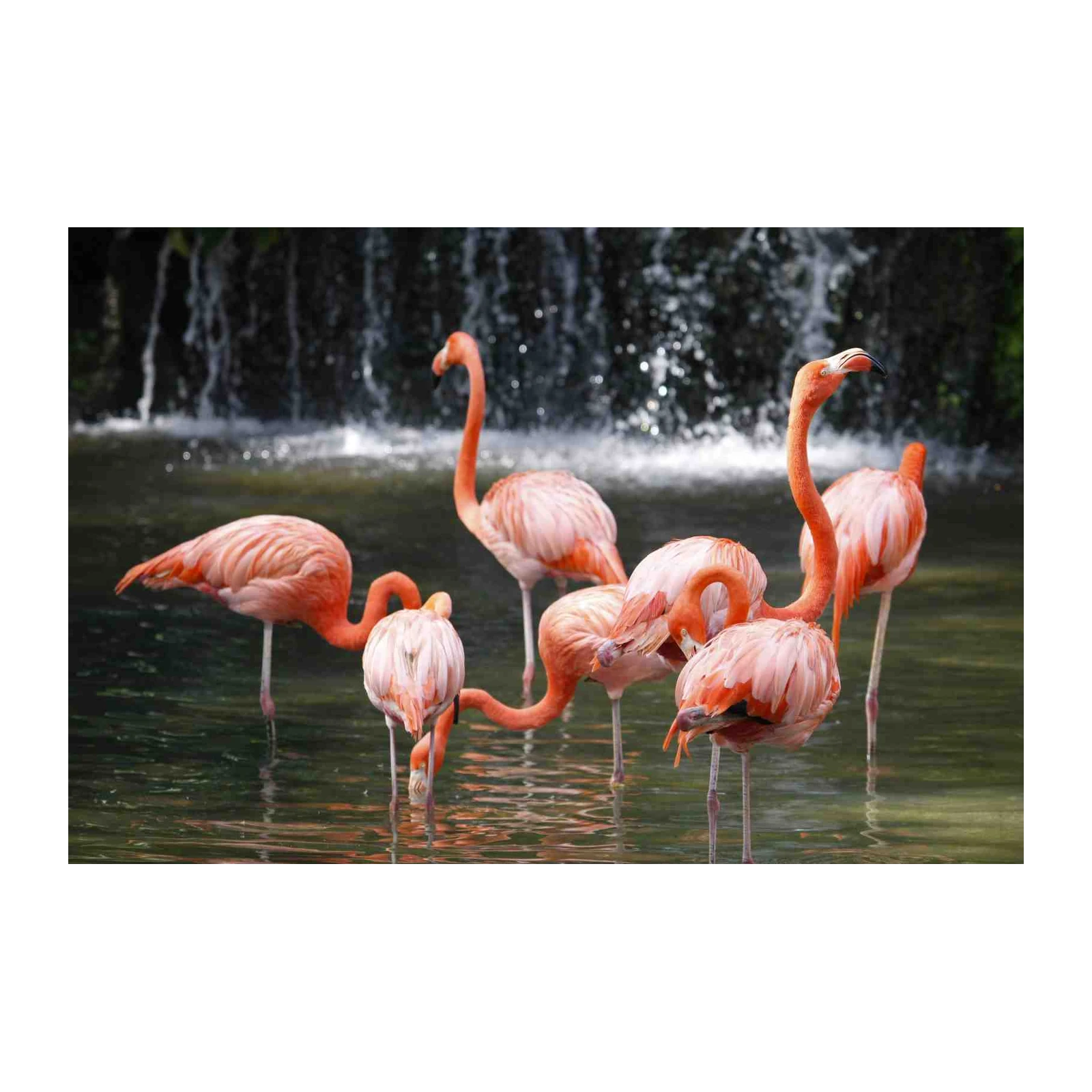 Flamingo Flock Waterfall Wall Art