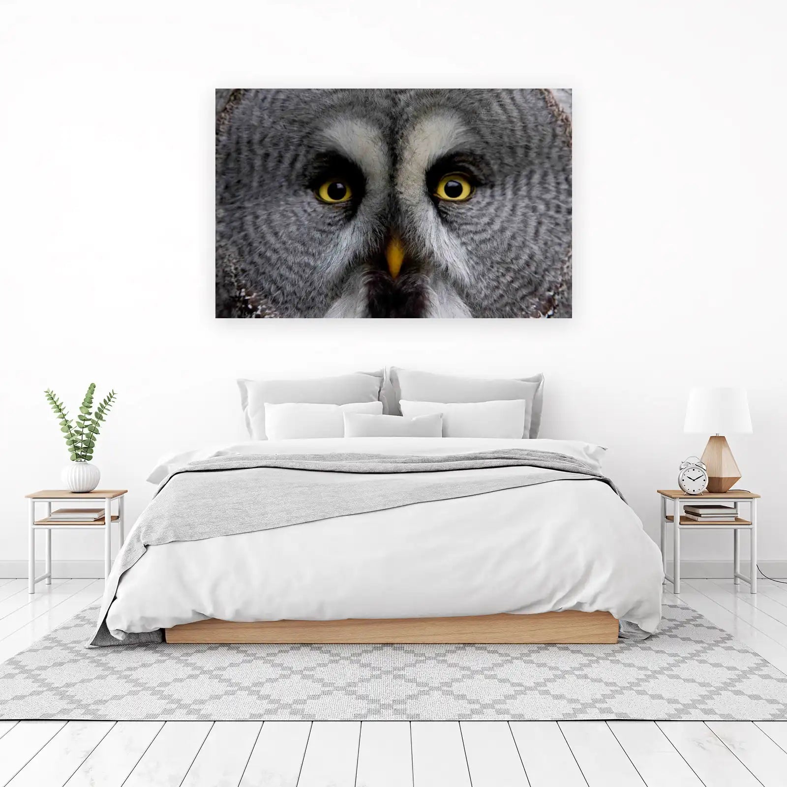 Majestic Owl Eyes Close-Up Wall Art
