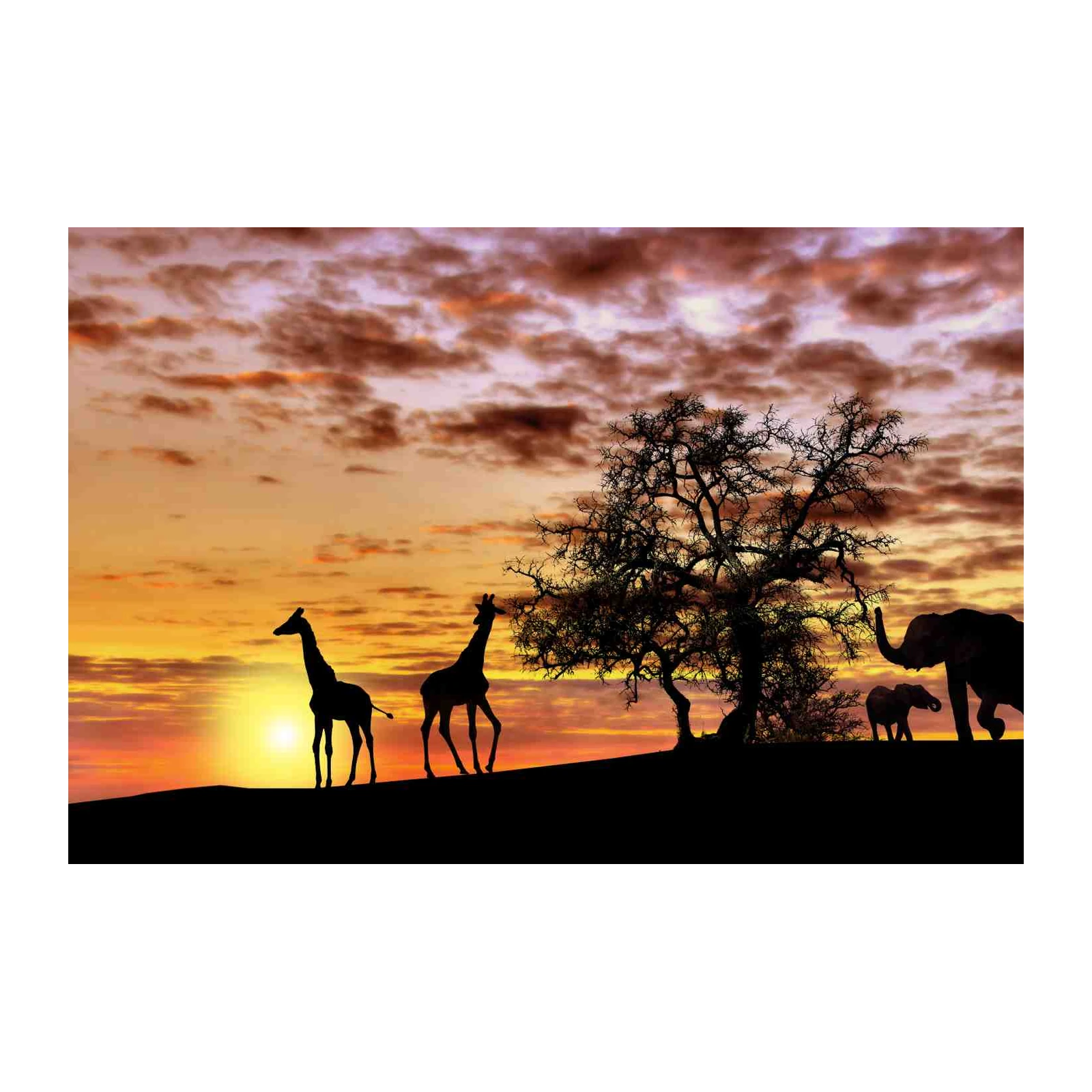 African Sunset Giraffes & Elephants Wall Art
