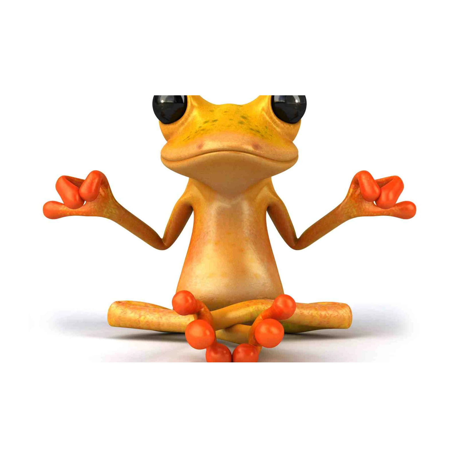 Zen Frog Yoga Meditation Wall Art
