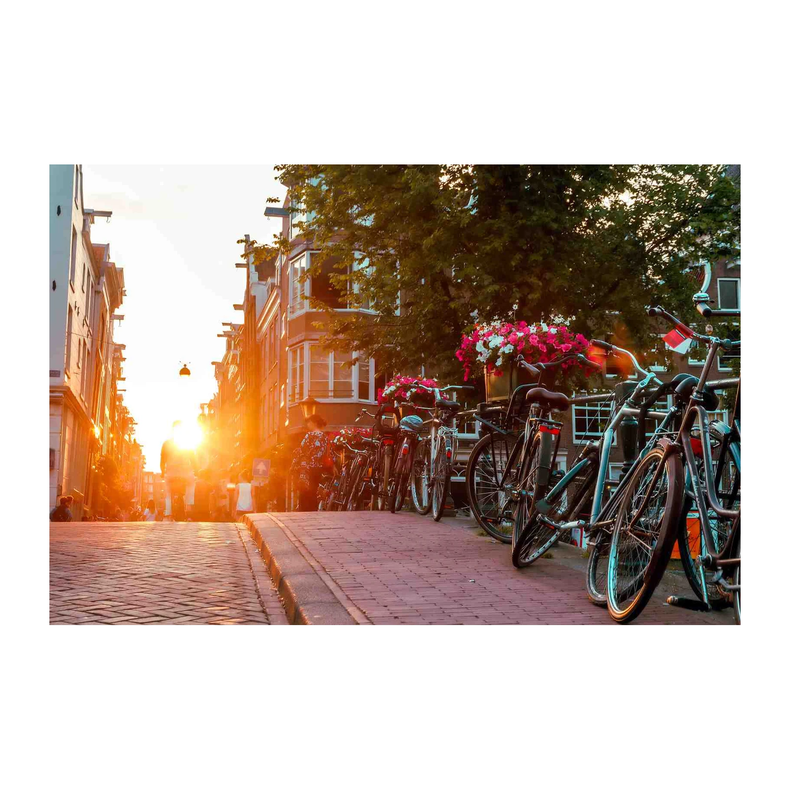Golden Hour Amsterdam Canals Bike Wall Art