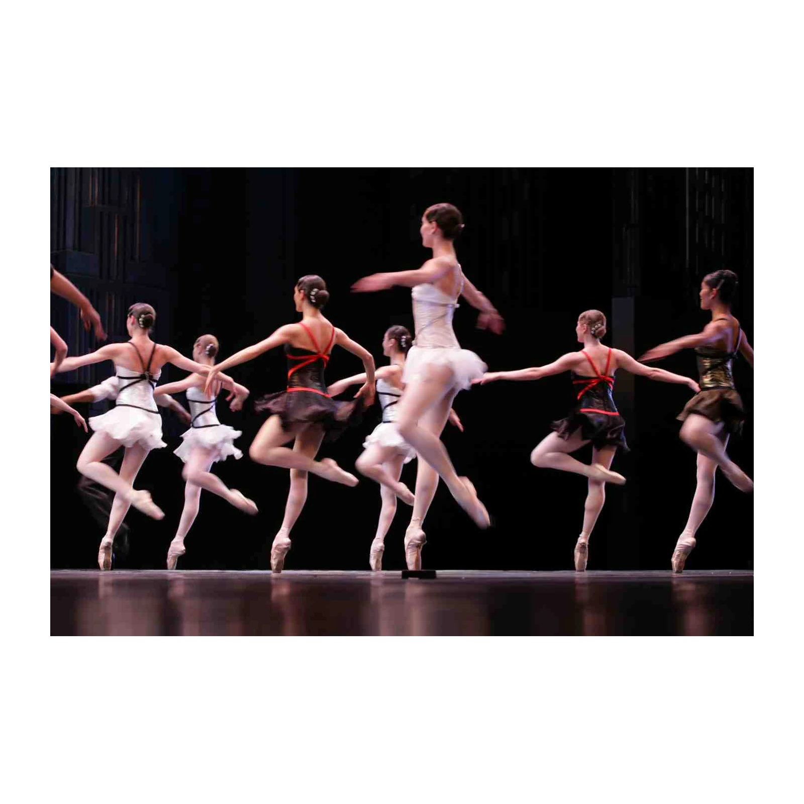 Graceful Ballet Dancers Wall Art