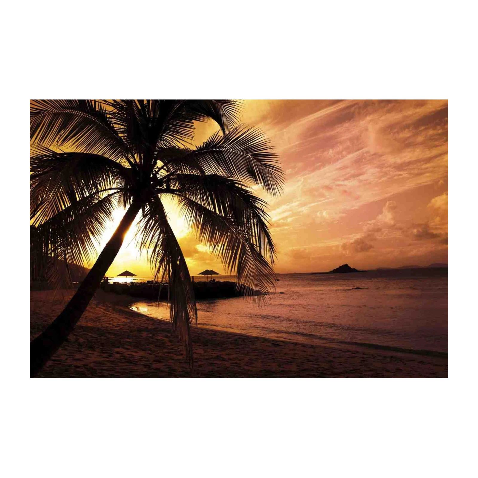 Tropical Sunset Palm Tree Wall Art