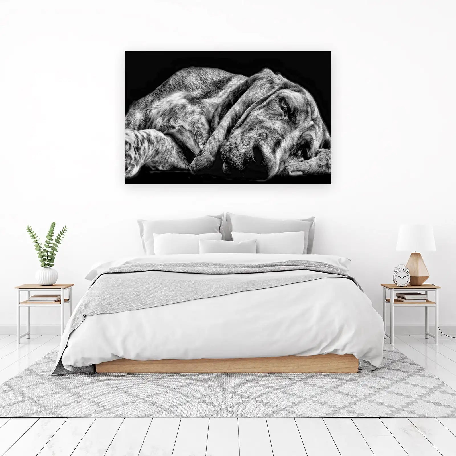 Majestic Lion Sleeping BW Wall Art