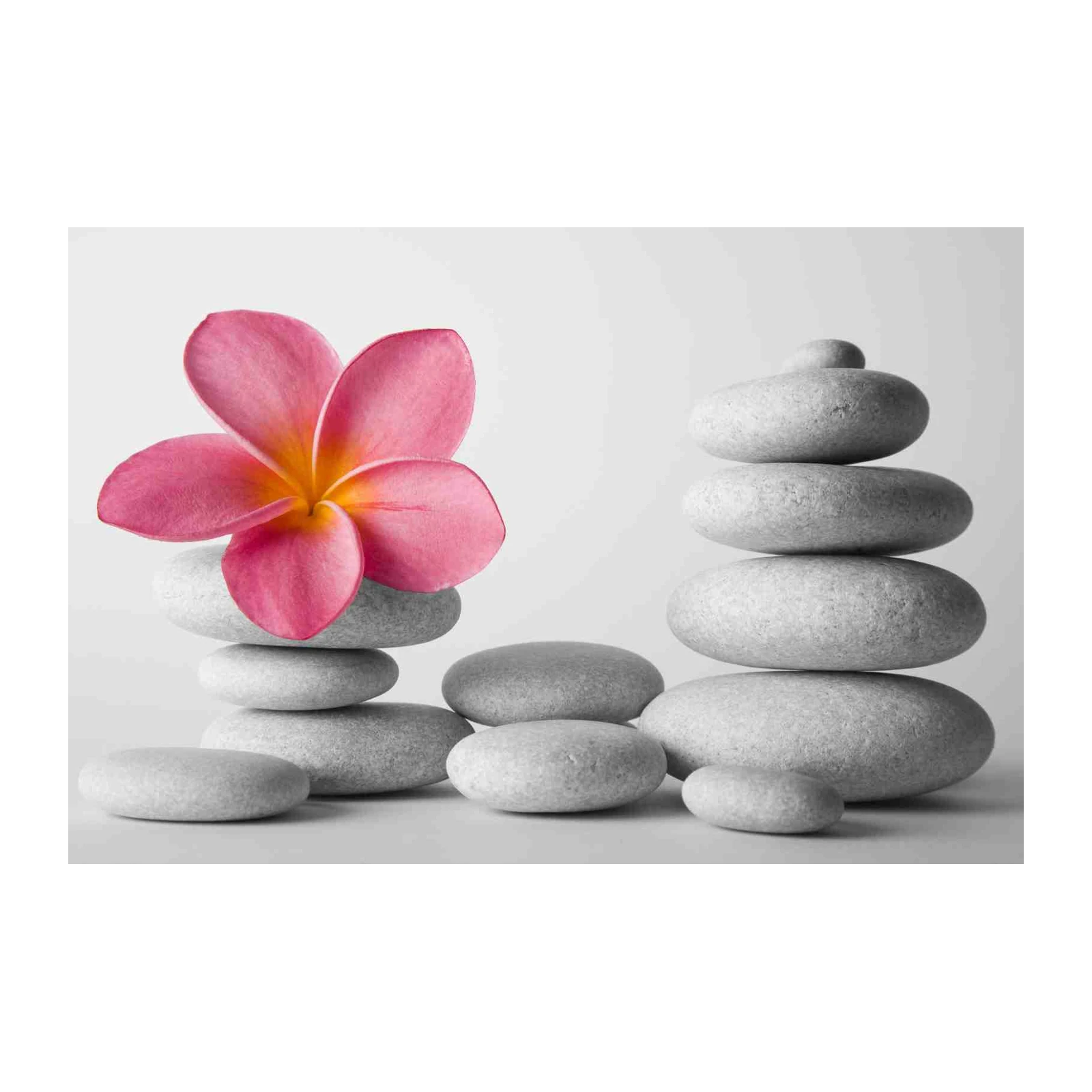 Zen Stone & Pink Flower Wall Art
