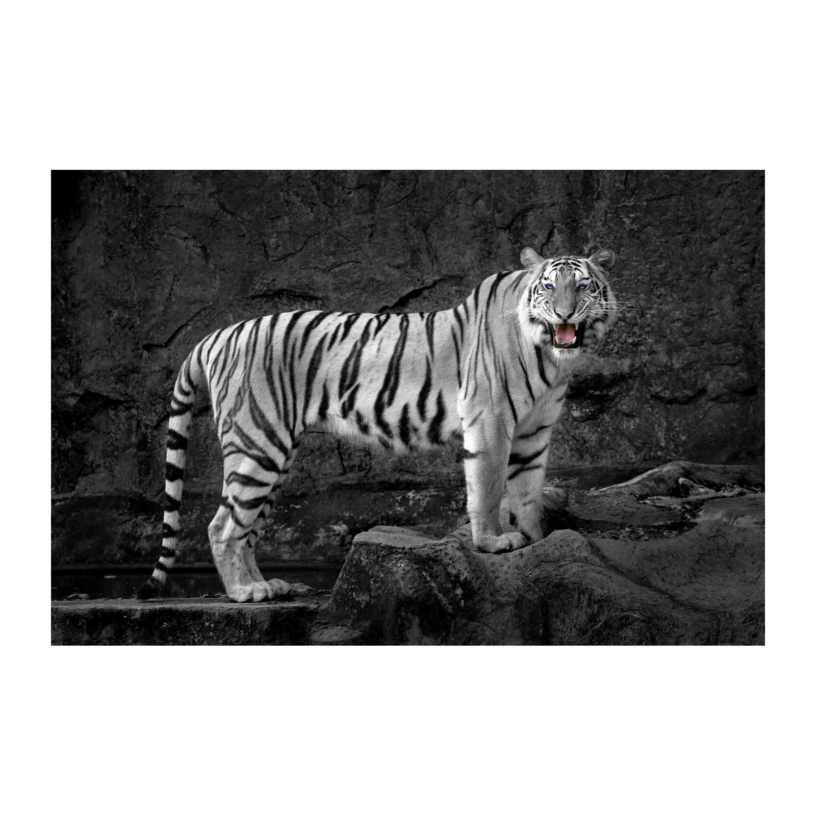 Majestic White Tiger Roar Wall Art
