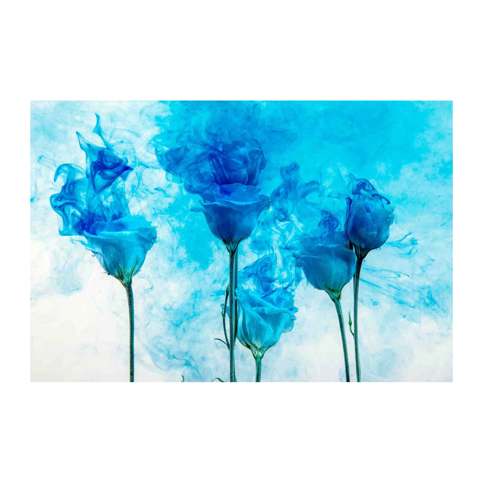 Enchanting Blue Roses Ink Splash Wall Art