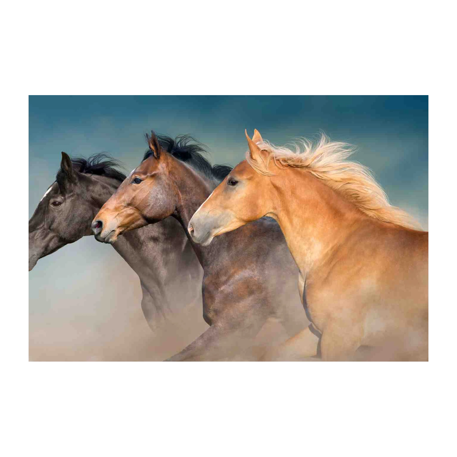 Majestic Gallop Horses Wall Art