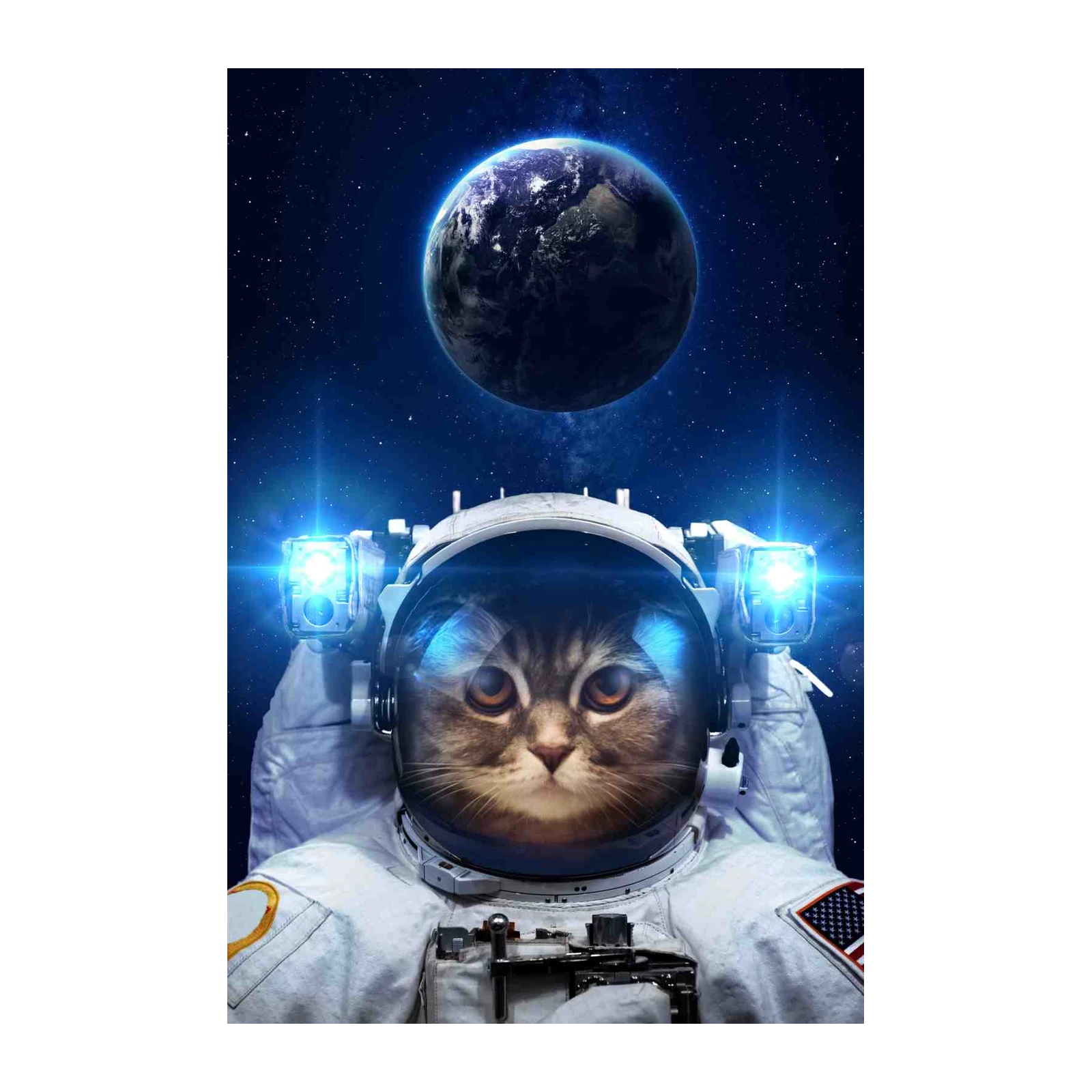 Astronaut Cat Space Adventure Wall Art