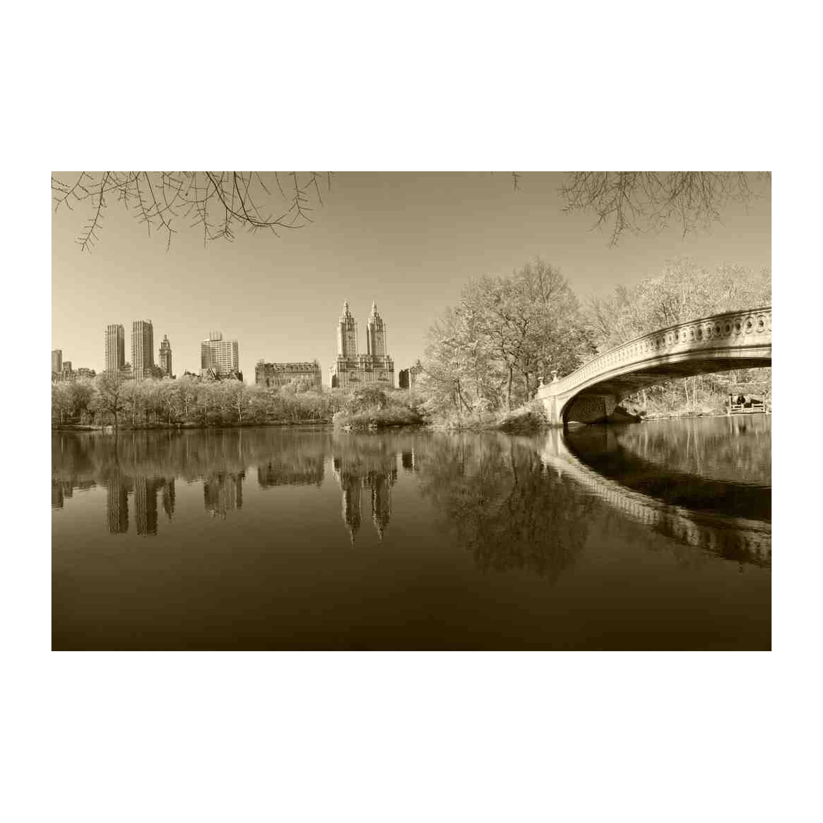 Serene Central Park Bridge Sepia Wall Art