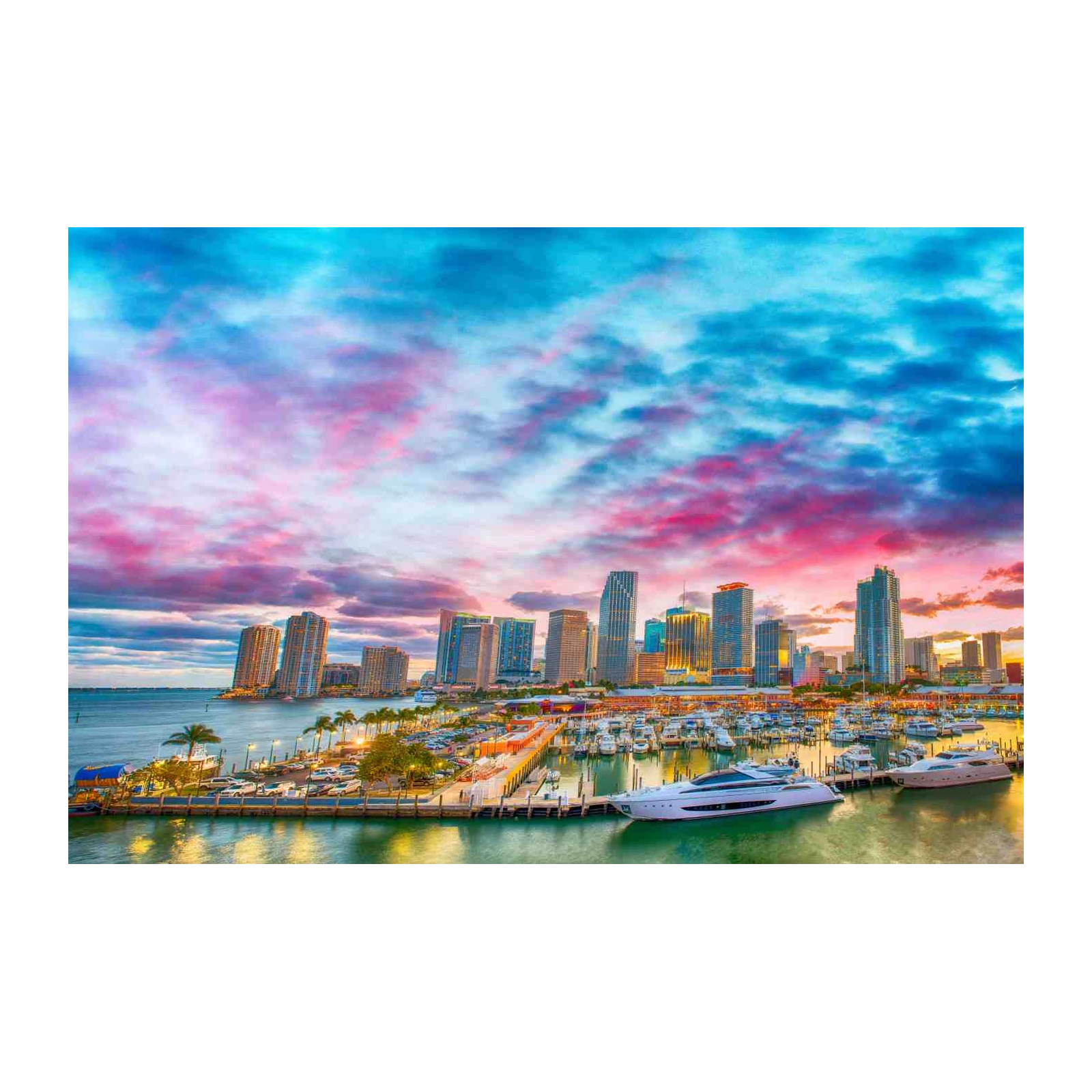 Vibrant Miami Skyline Yacht Harbor Wall Art