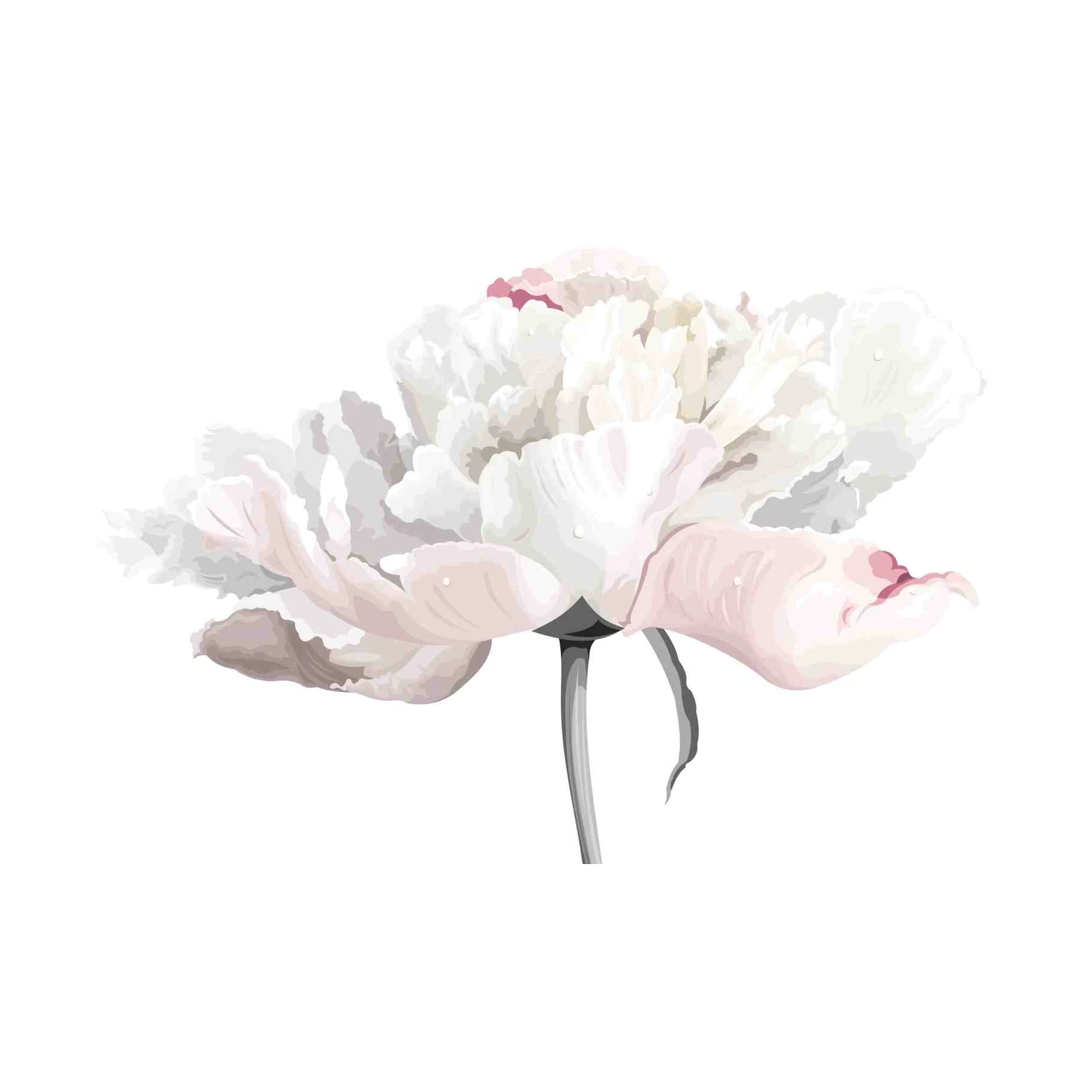 Soft Peony Blossom Wall Art