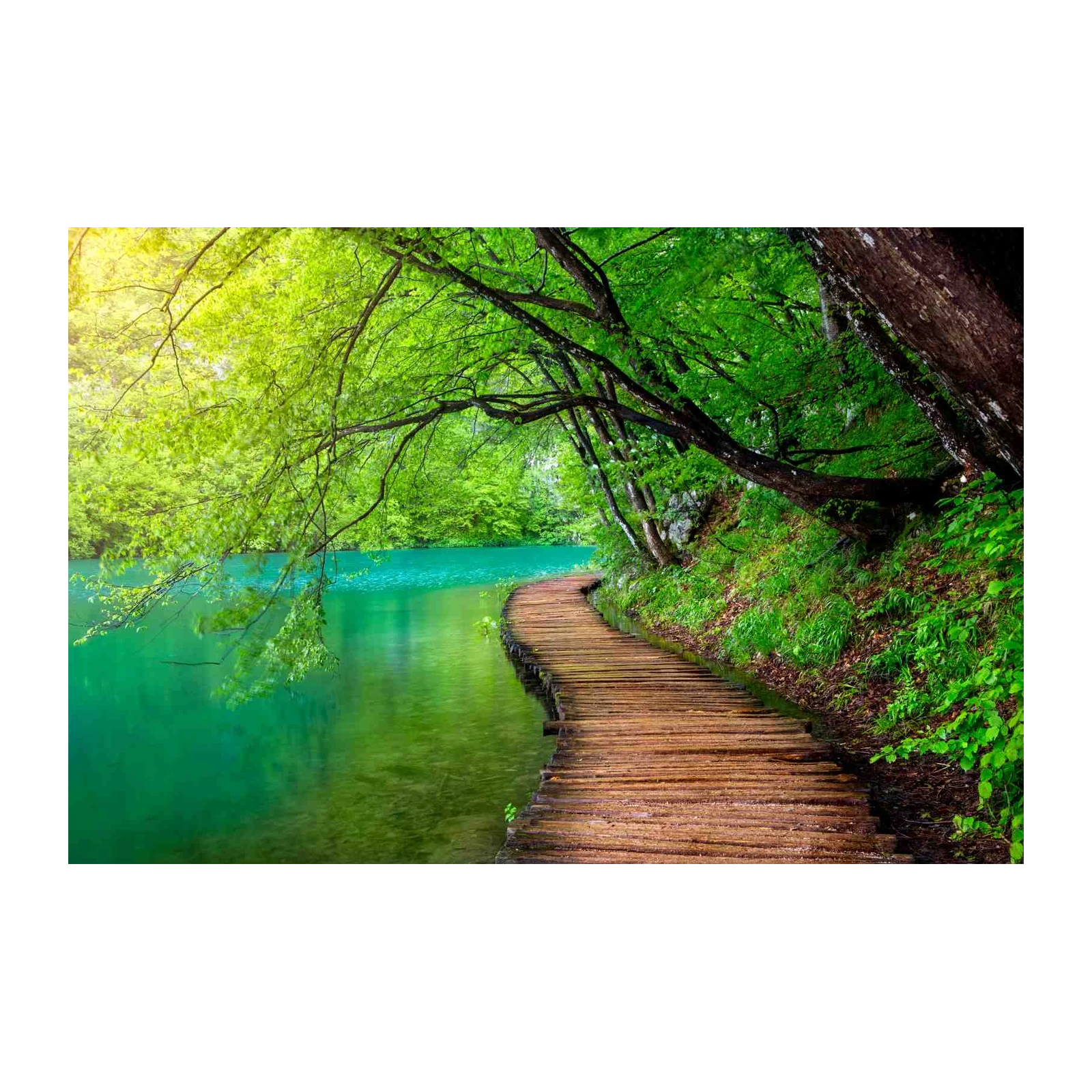 Tranquil Forest Lake Wooden Walkway Wall Art