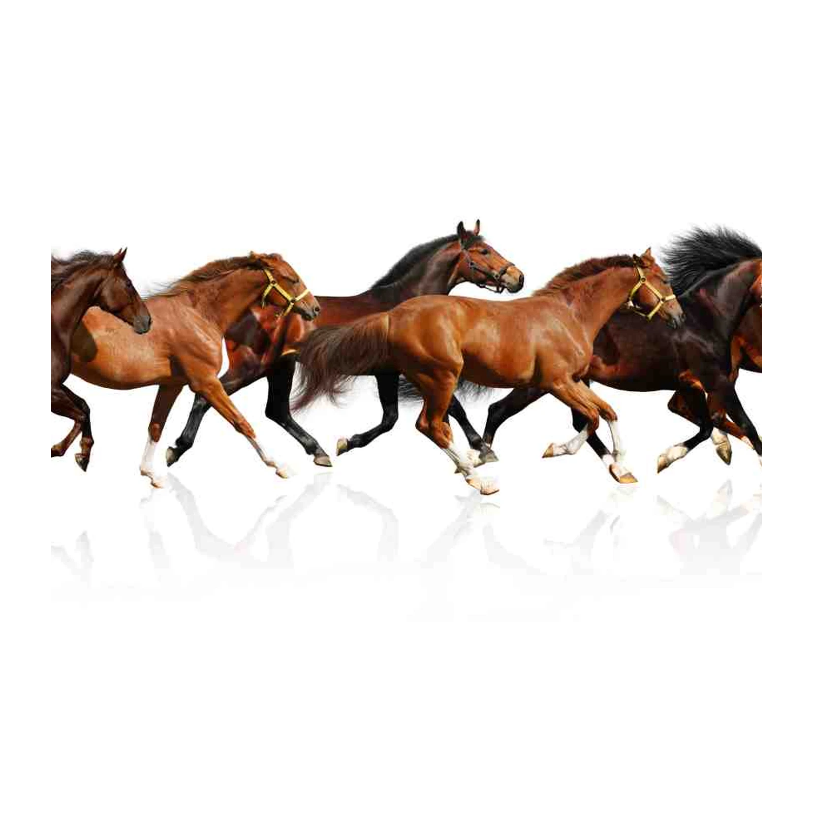Majestic Running Horses Wall Art Wall Art