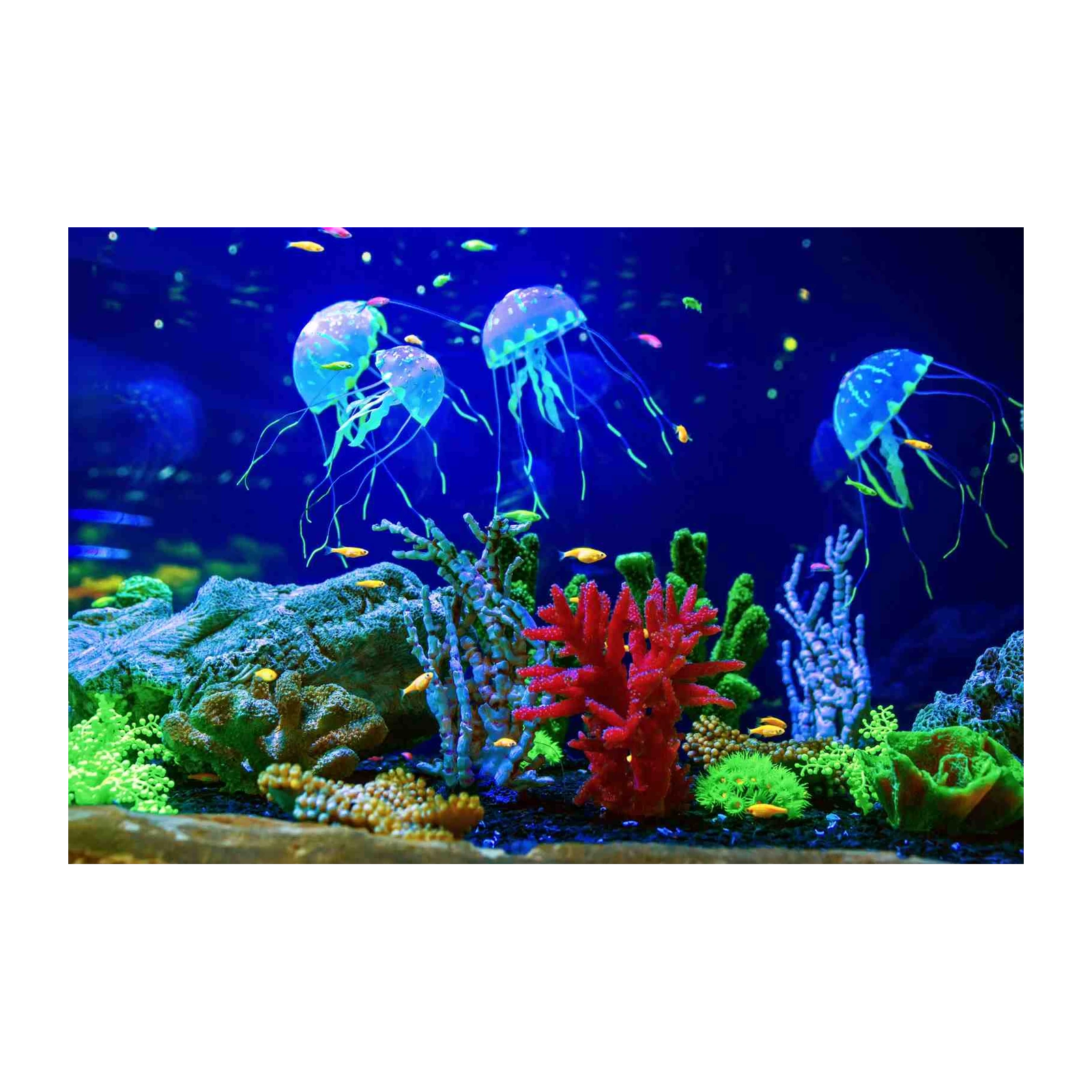 Vibrant Jellyfish & Coral Reef Wall Art