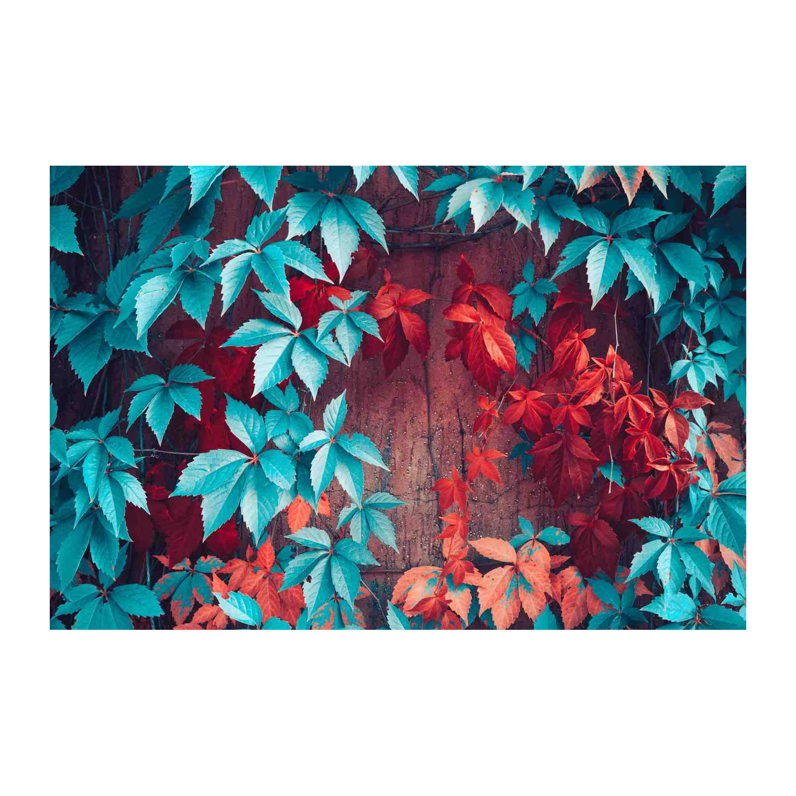 Vibrant Teal & Red Vines Wall Art