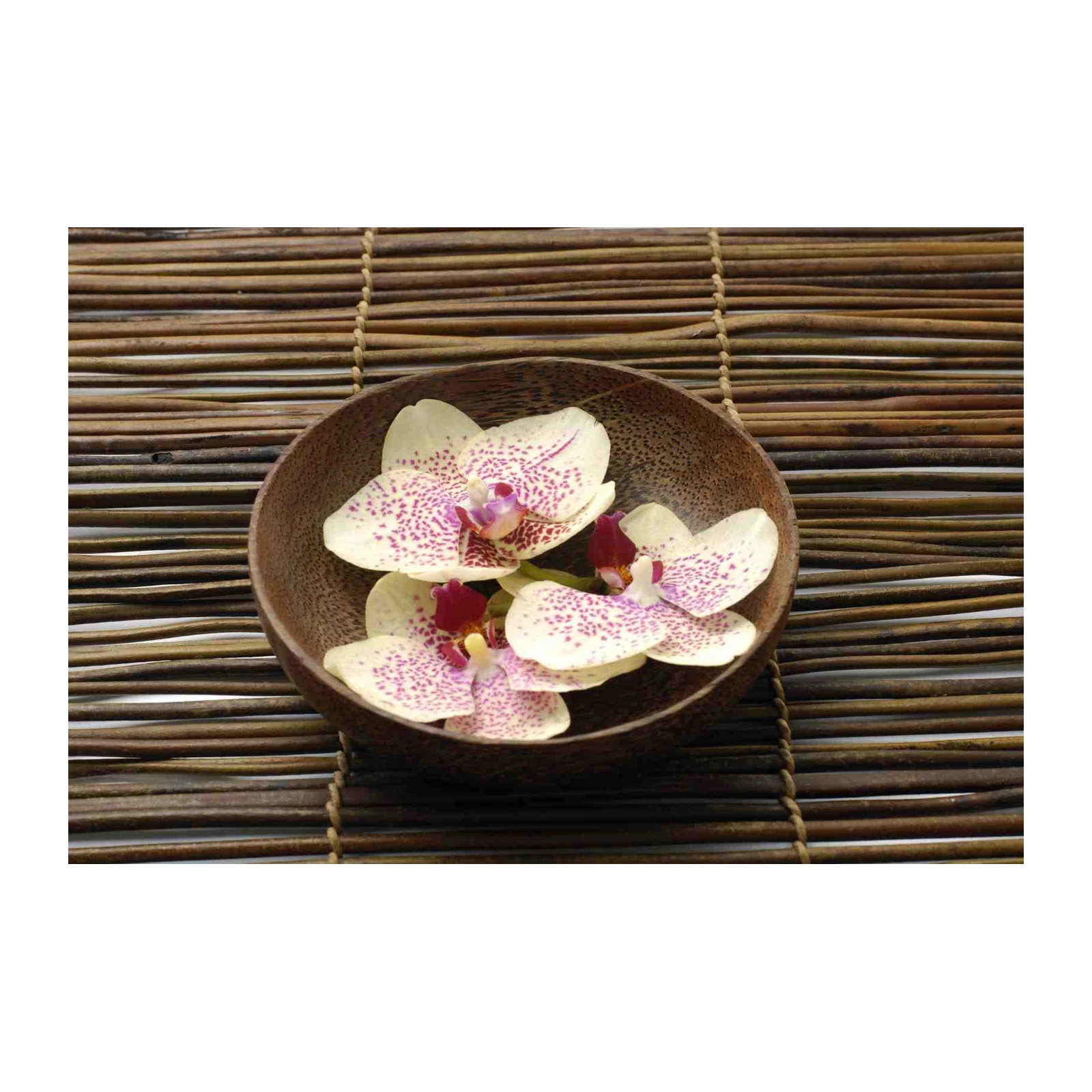 Serene Orchid Spa Zen Wall Art