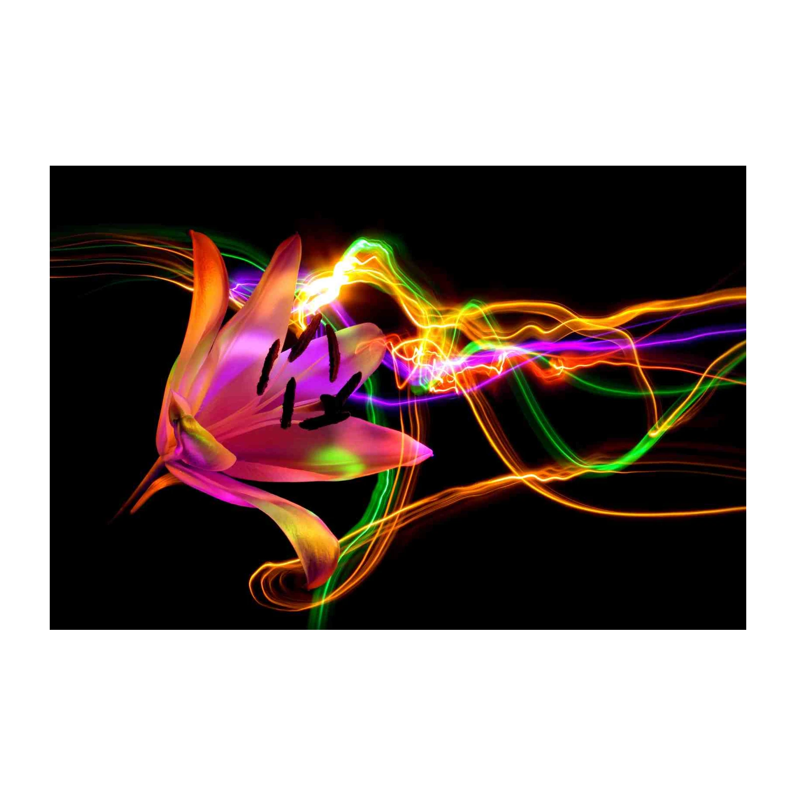 Electric Lily Light Painting Wall Art
