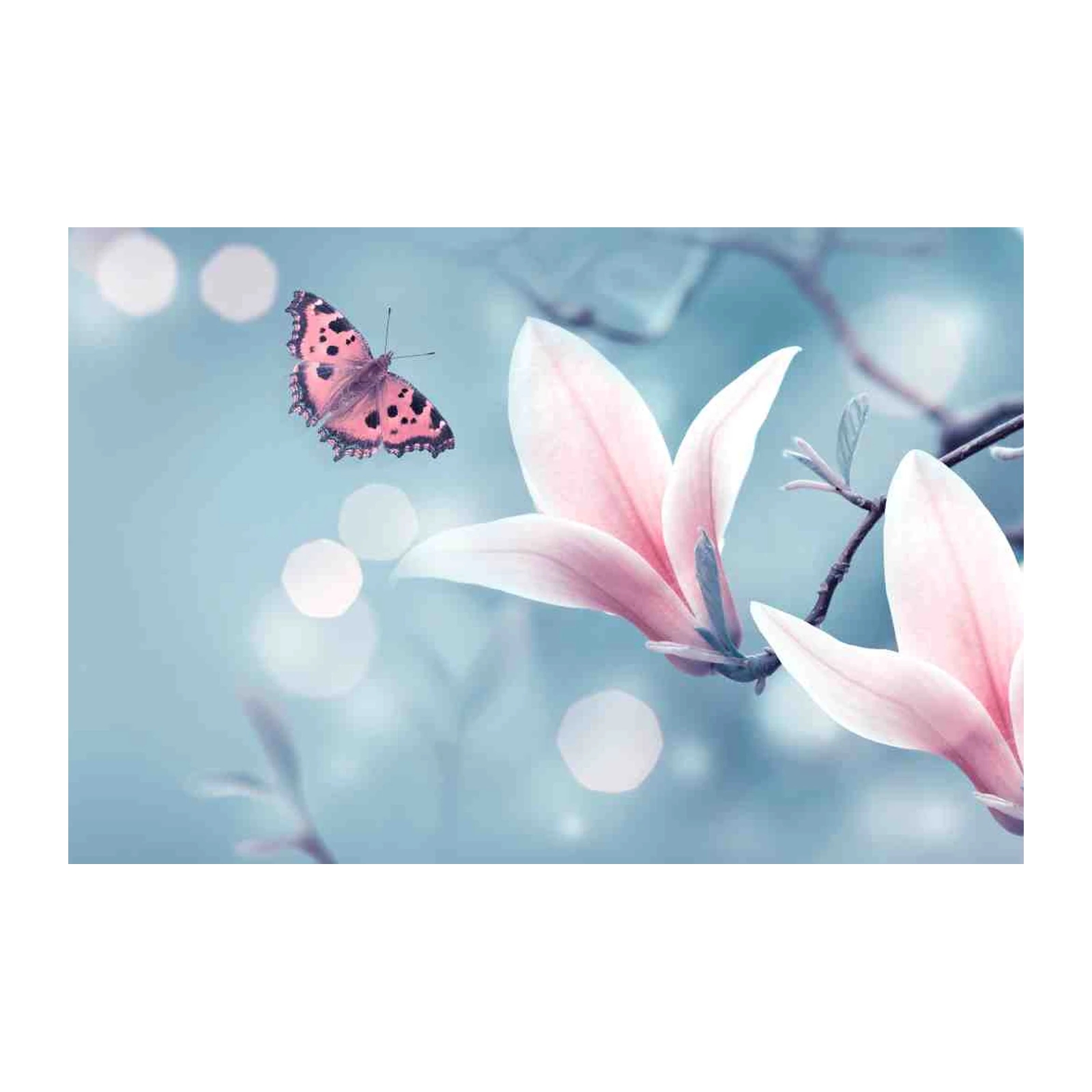 Serene Butterfly & Magnolia Wall Art