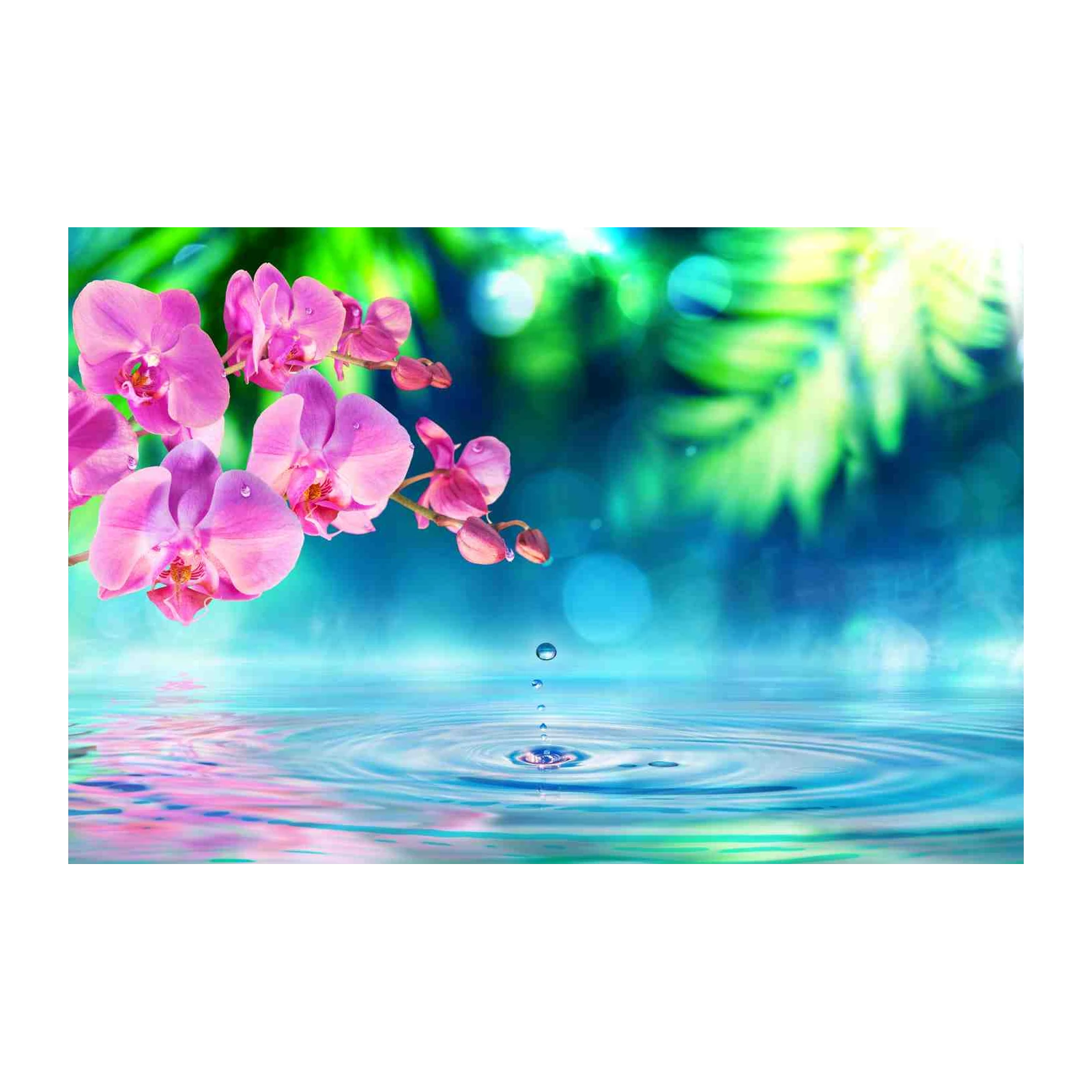 Tranquil Pink Orchid Water Drop Wall Art