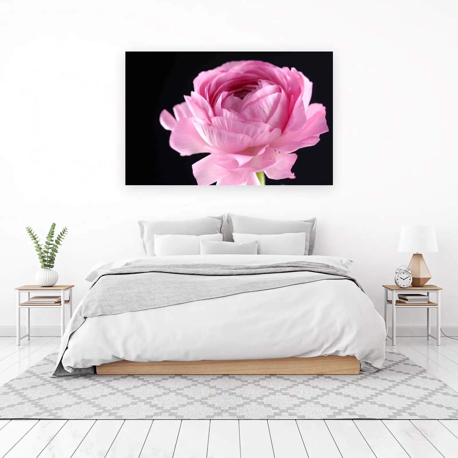 Soft Pink Ranunculus Close-Up Wall Art