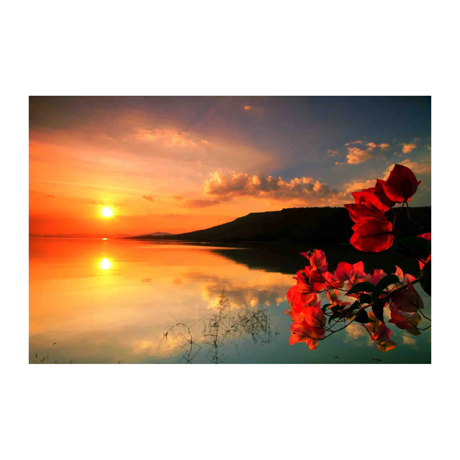 Vibrant Sunset Lake & Flowers Wall Art