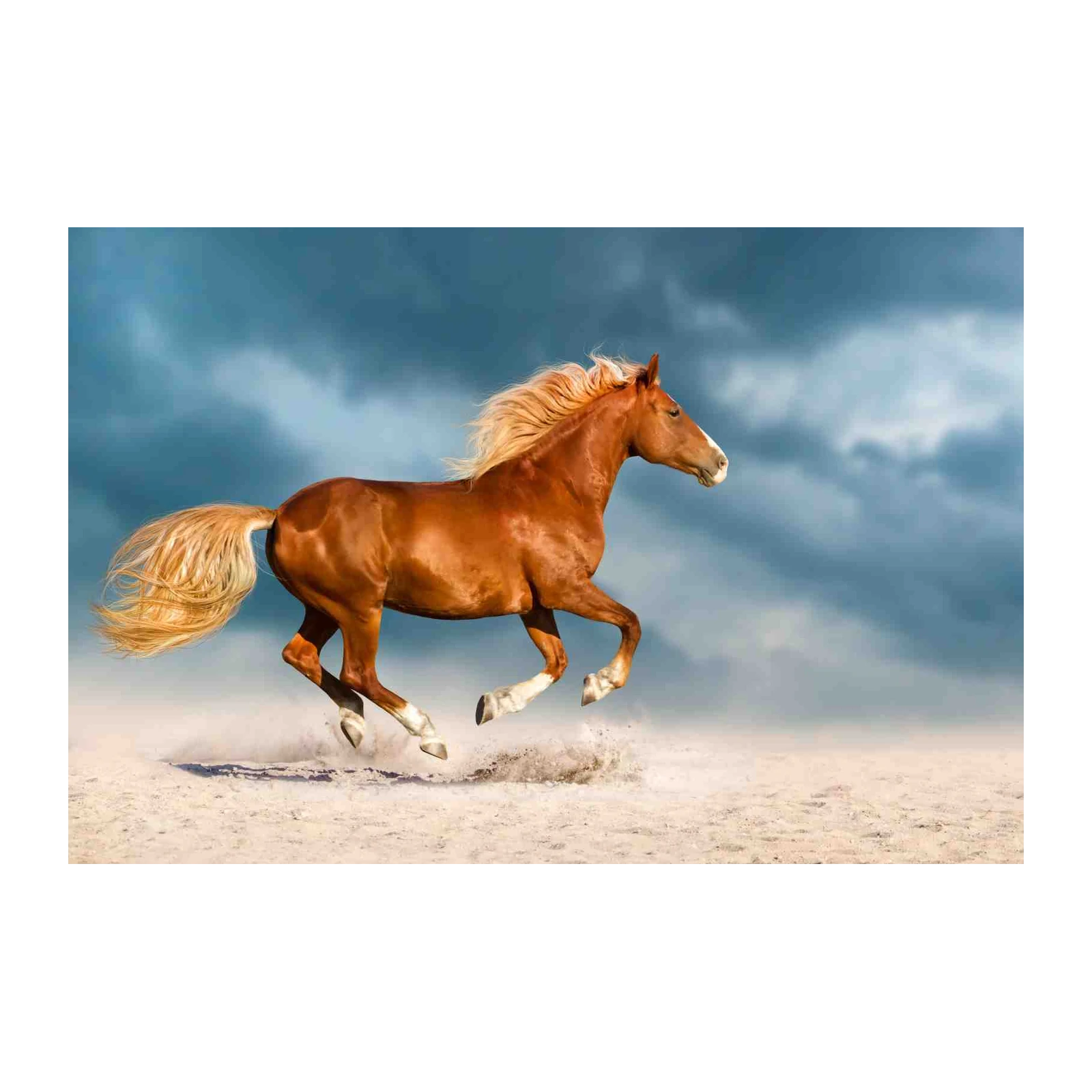Majestic Chestnut Horse Galloping Wall Art