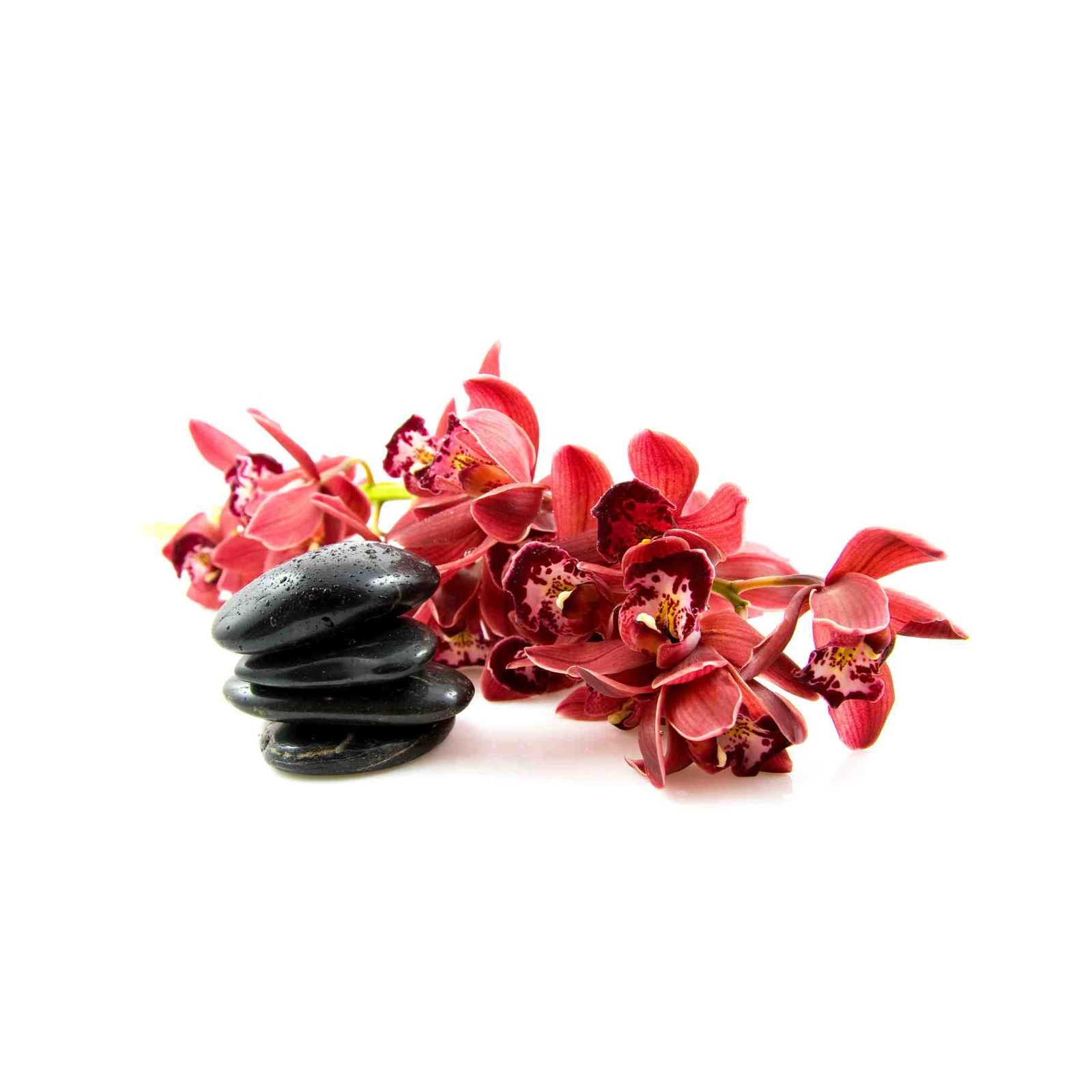 Zen Red Orchids & Black Stones Wall Art