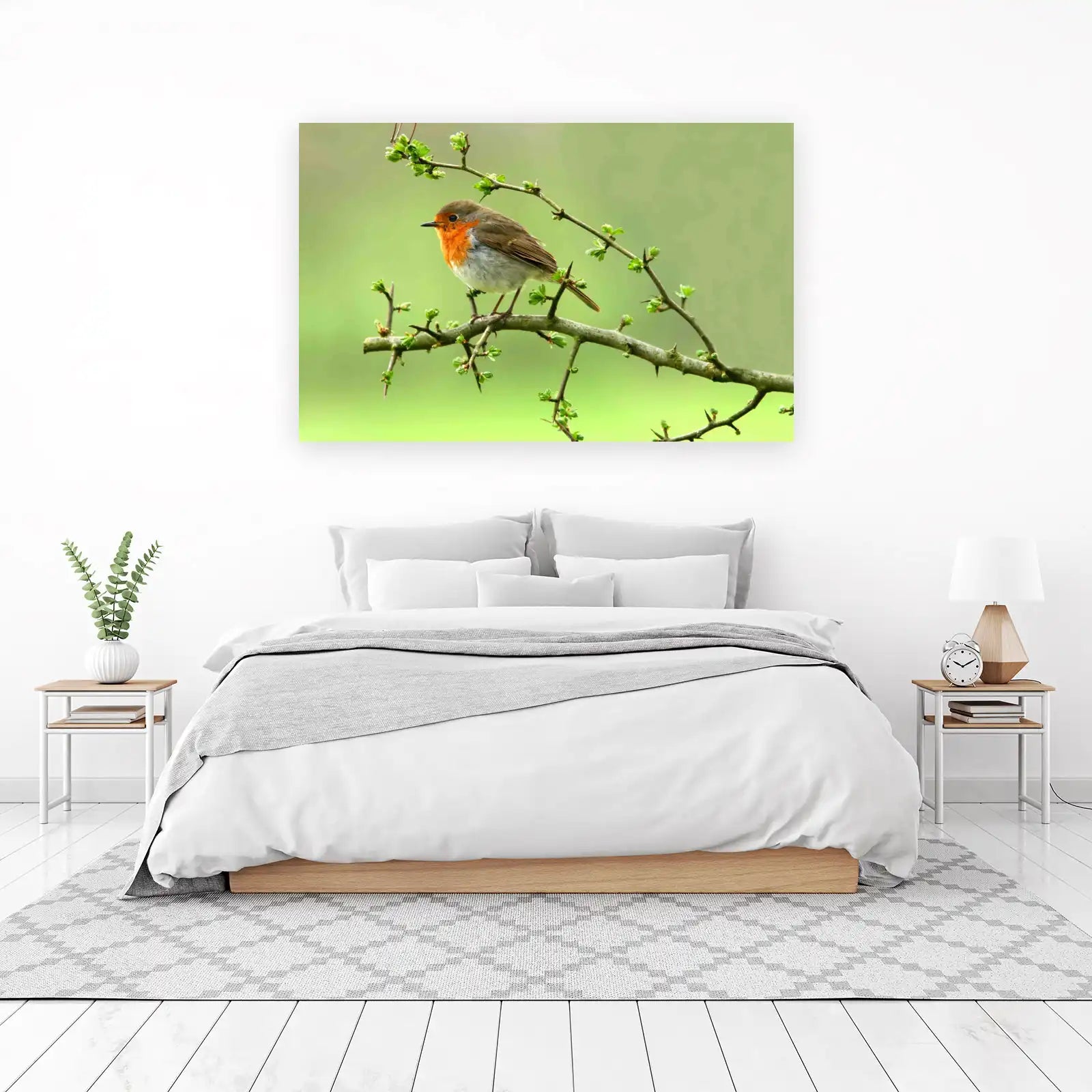 Robin on Branch Nature Art Wall Art