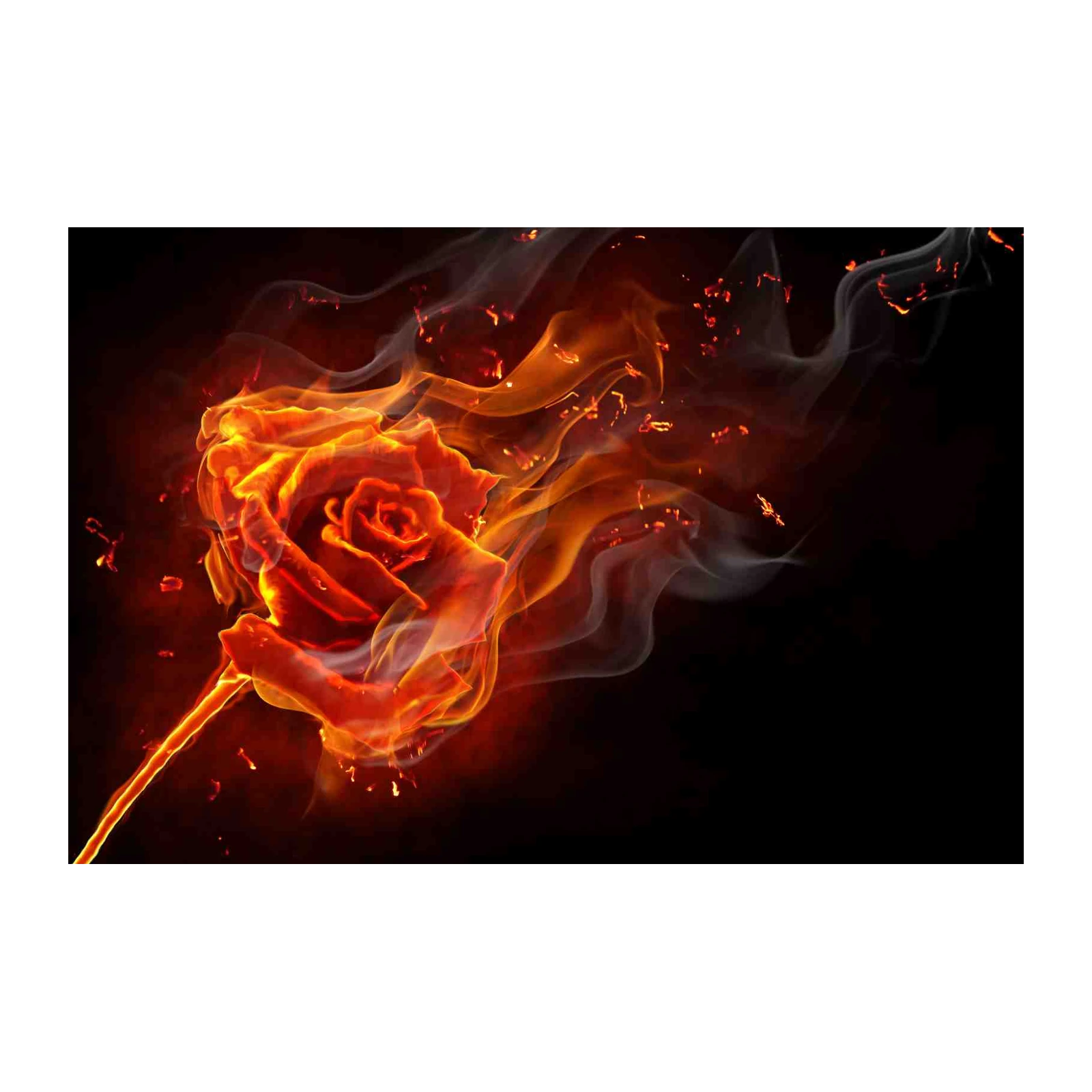 Fiery Rose Wall Art Wall Art