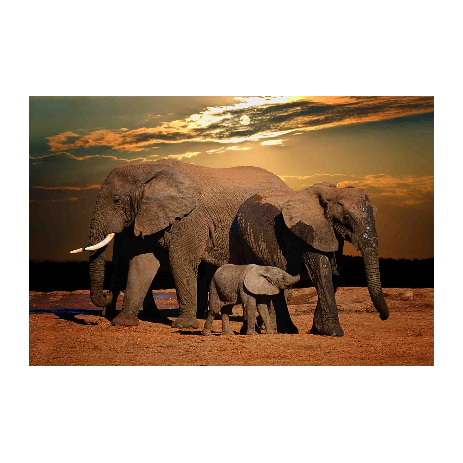 Majestic Elephant Family Sunset Wall Art