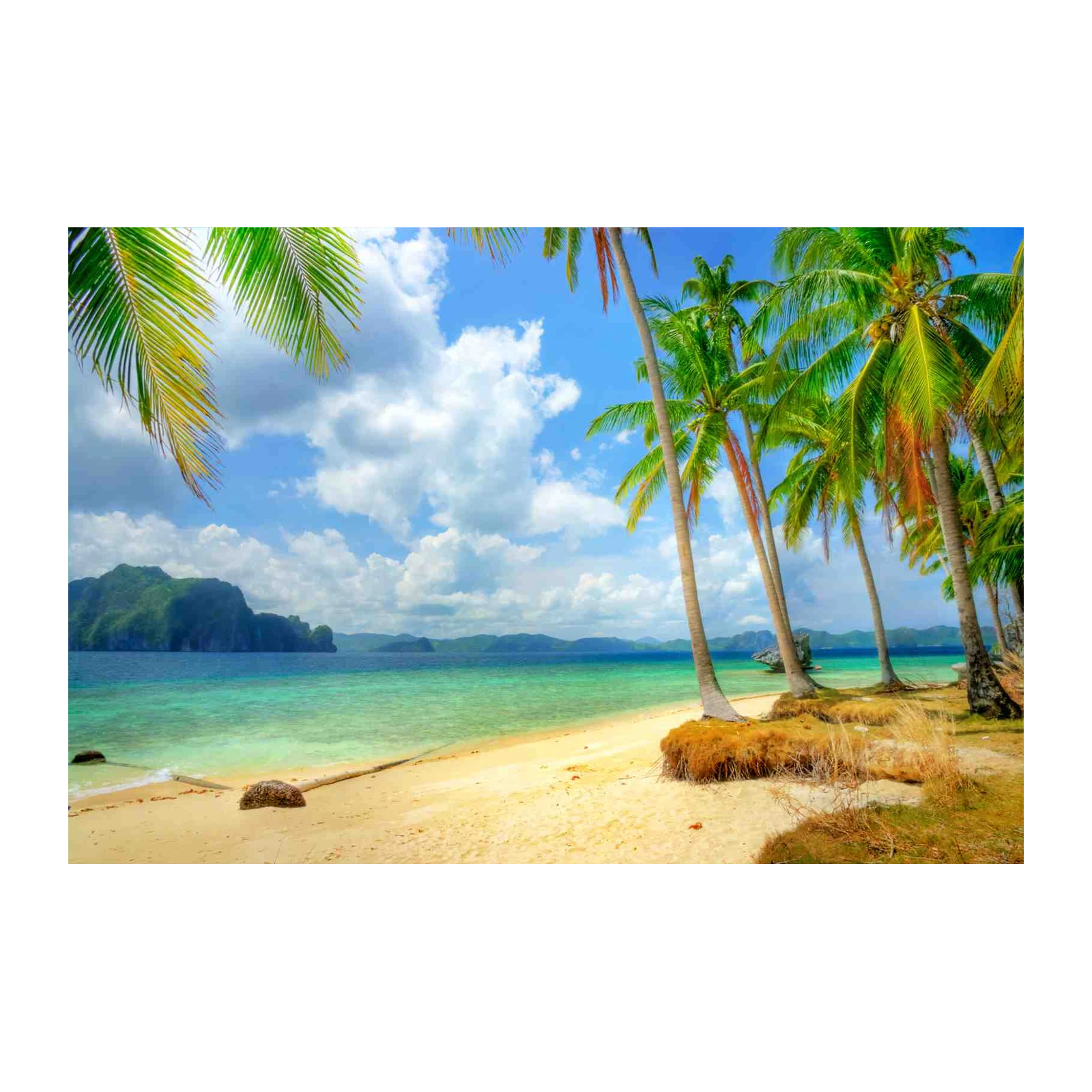 Tropical Paradise Beach Palm Trees Wall Art