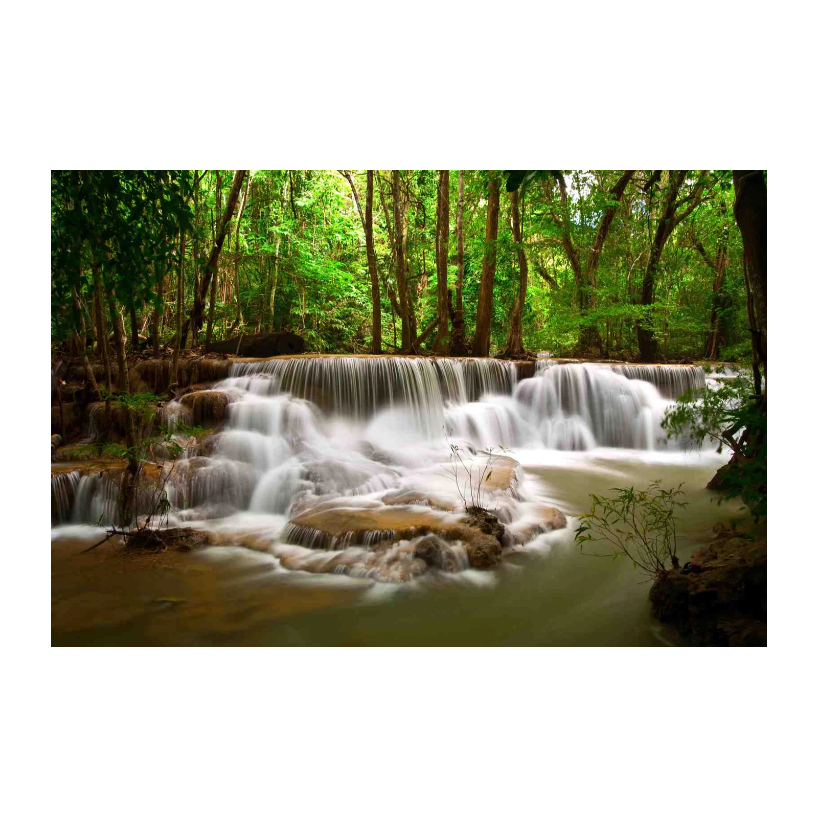 Lush Rainforest Waterfall Serenity Wall Art