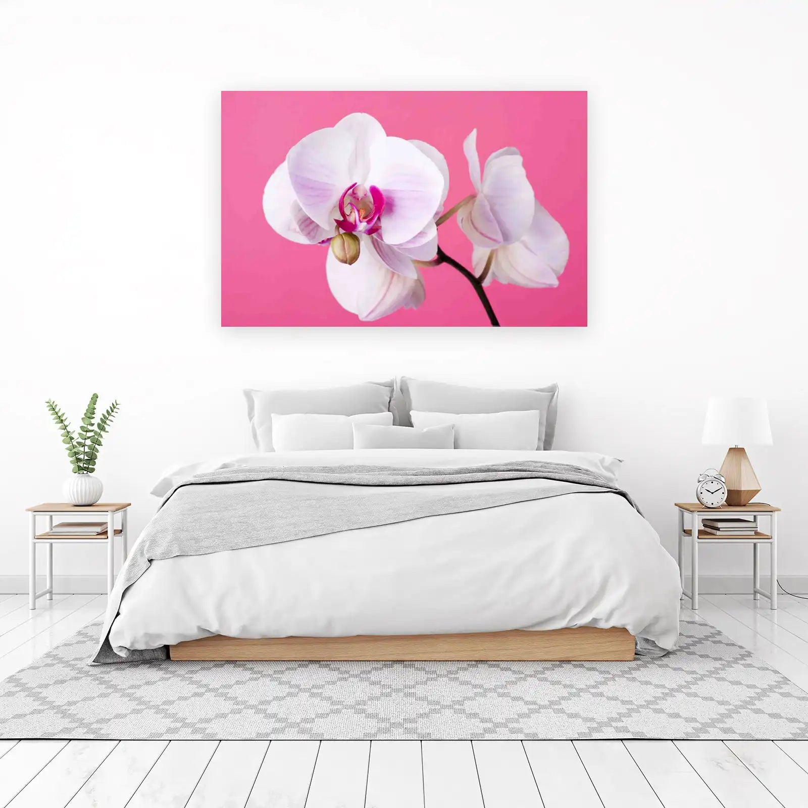 Elegant Orchid Blossom Wall Art