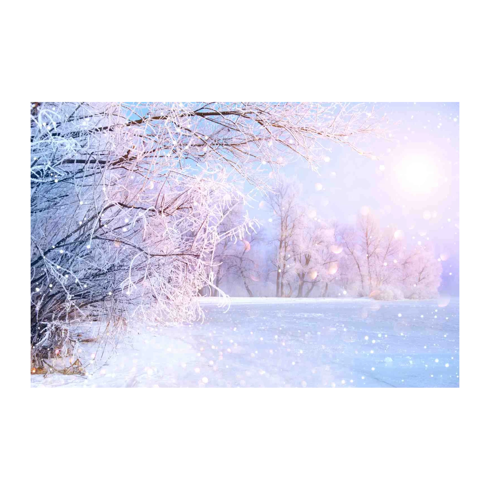 Enchanting Winter Forest Wall Art