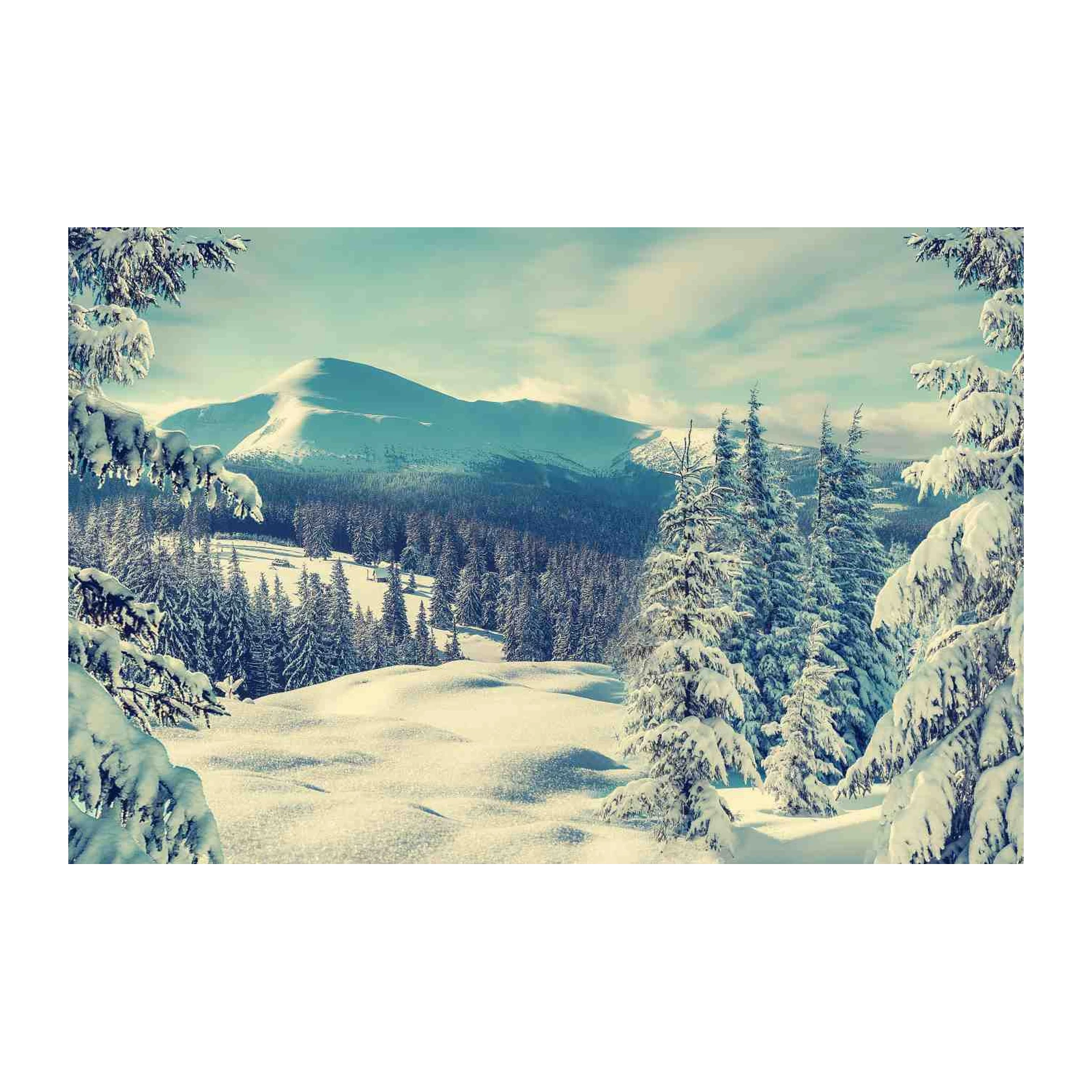 Tranquil Winter Landscape Snow Forest Wall Art