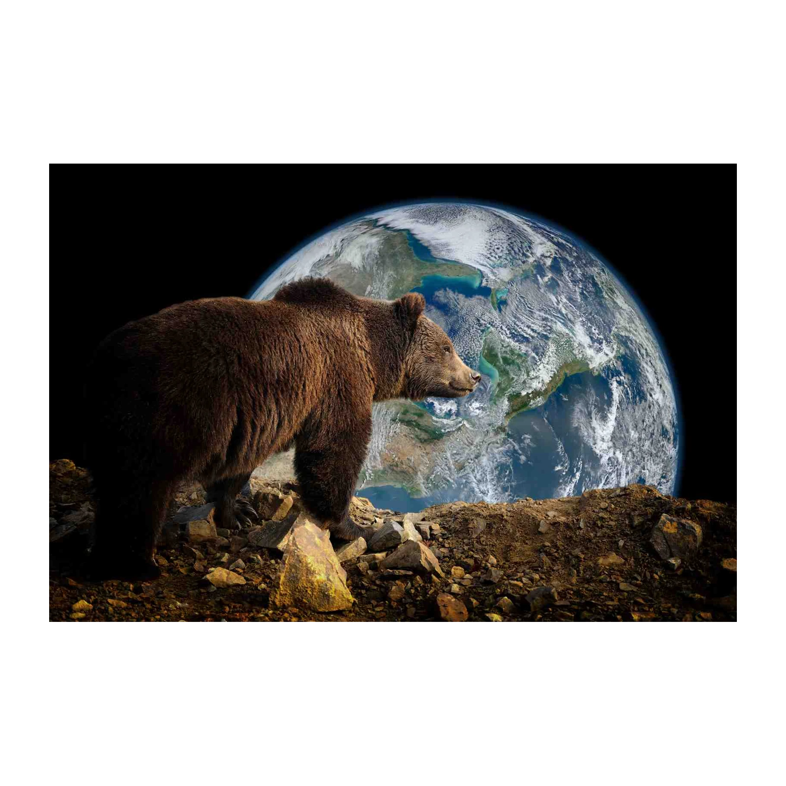 Majestic Bear Overlooking Earth Wall Art