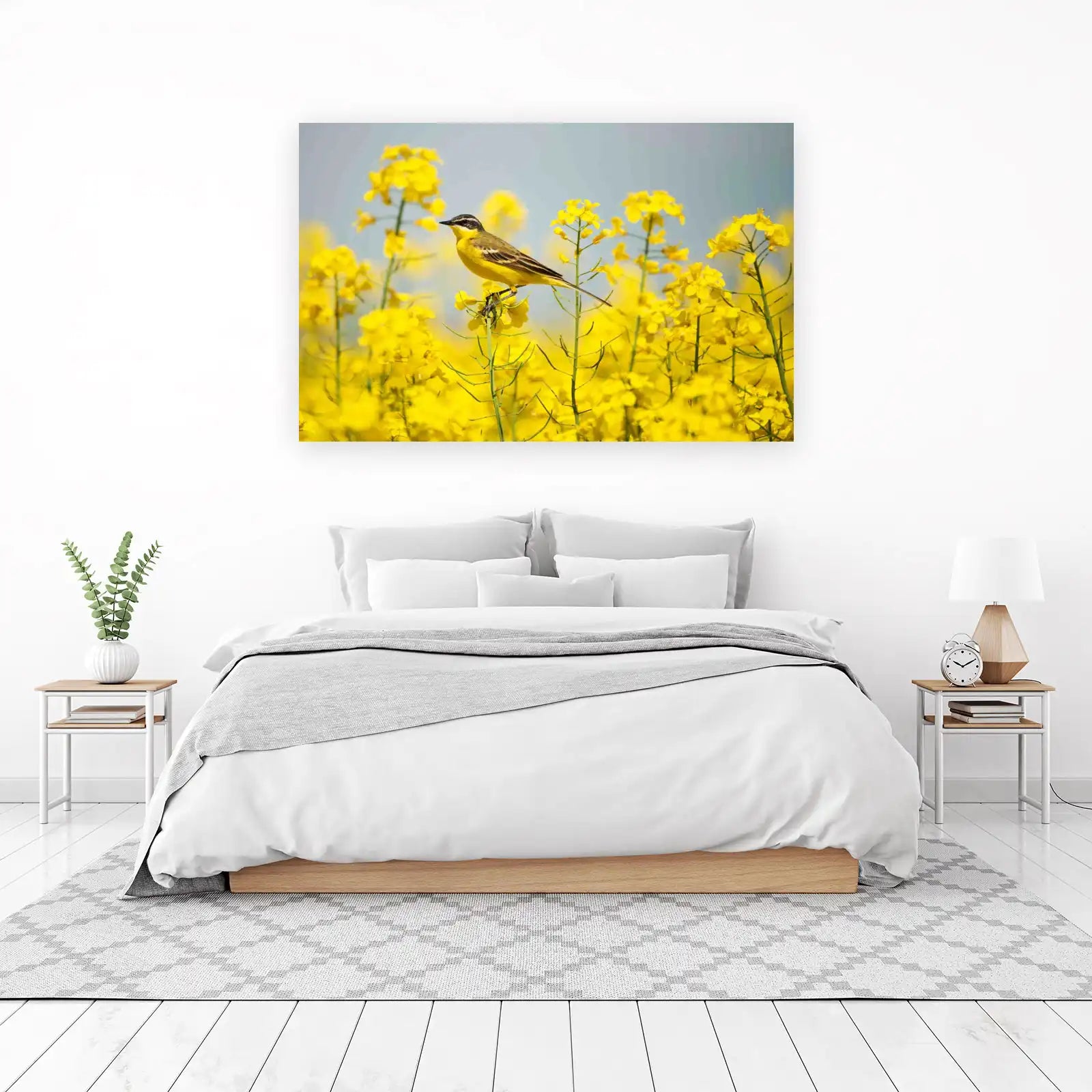 Yellow Wagtail in Blooming Field Wall Art