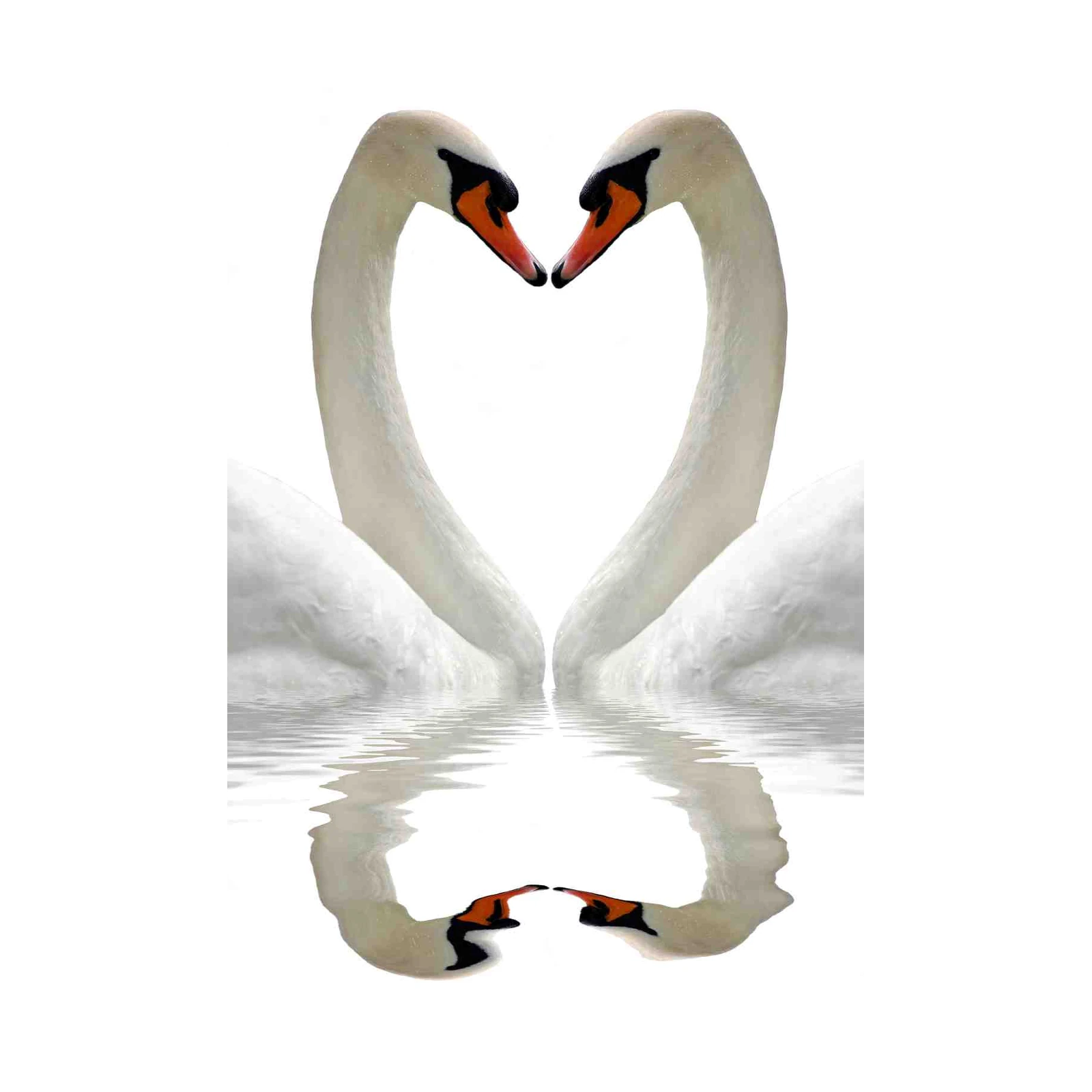 Elegant Swan Love Heart Wall Art