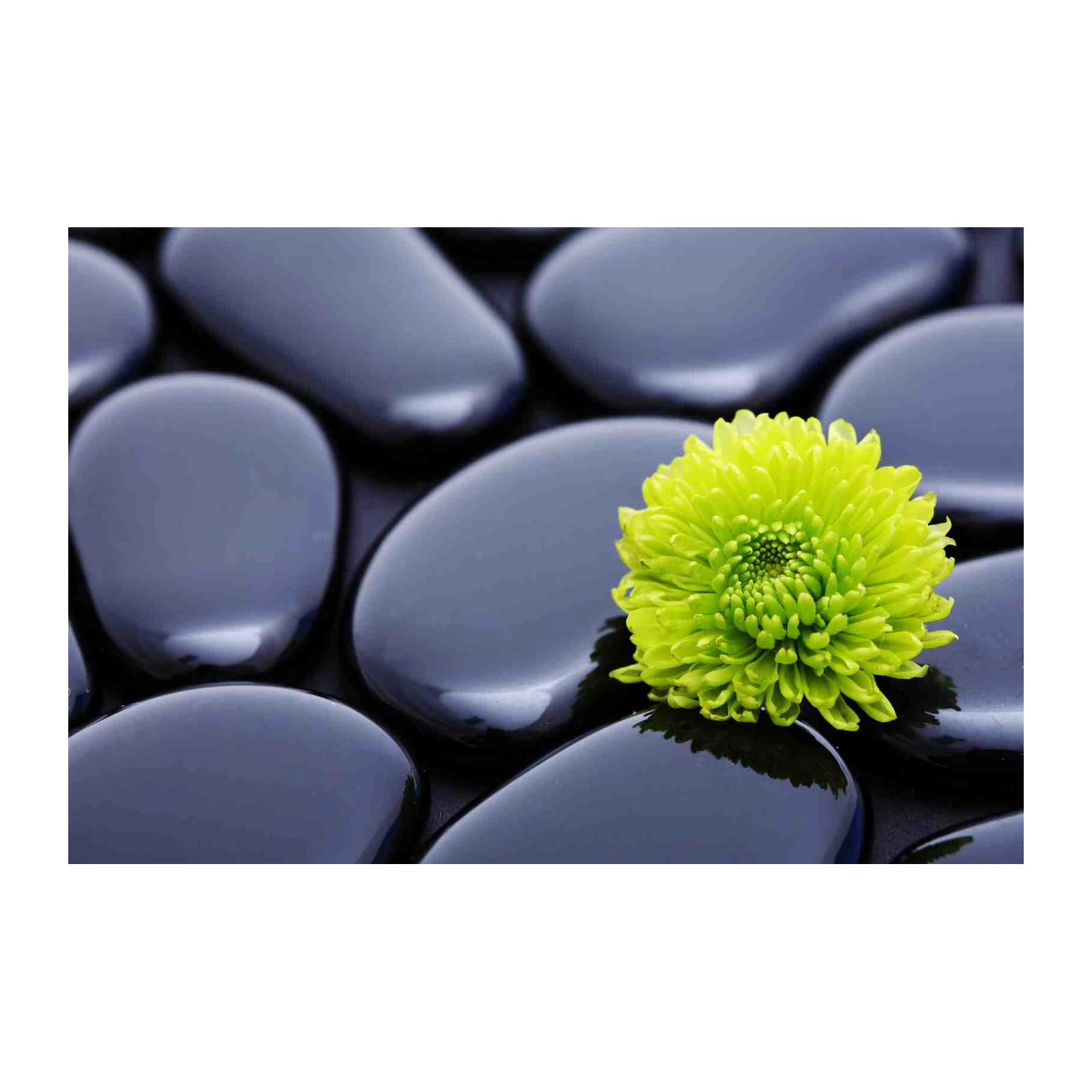 Serene Zen Flower & Stones Wall Art