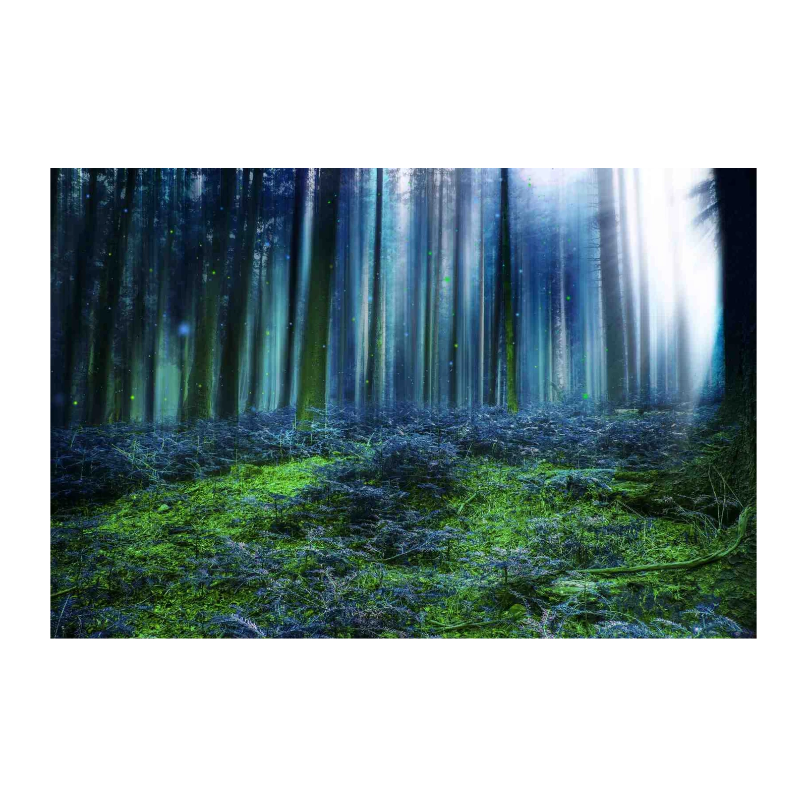 Enchanted Forest Wall Art Wall Art