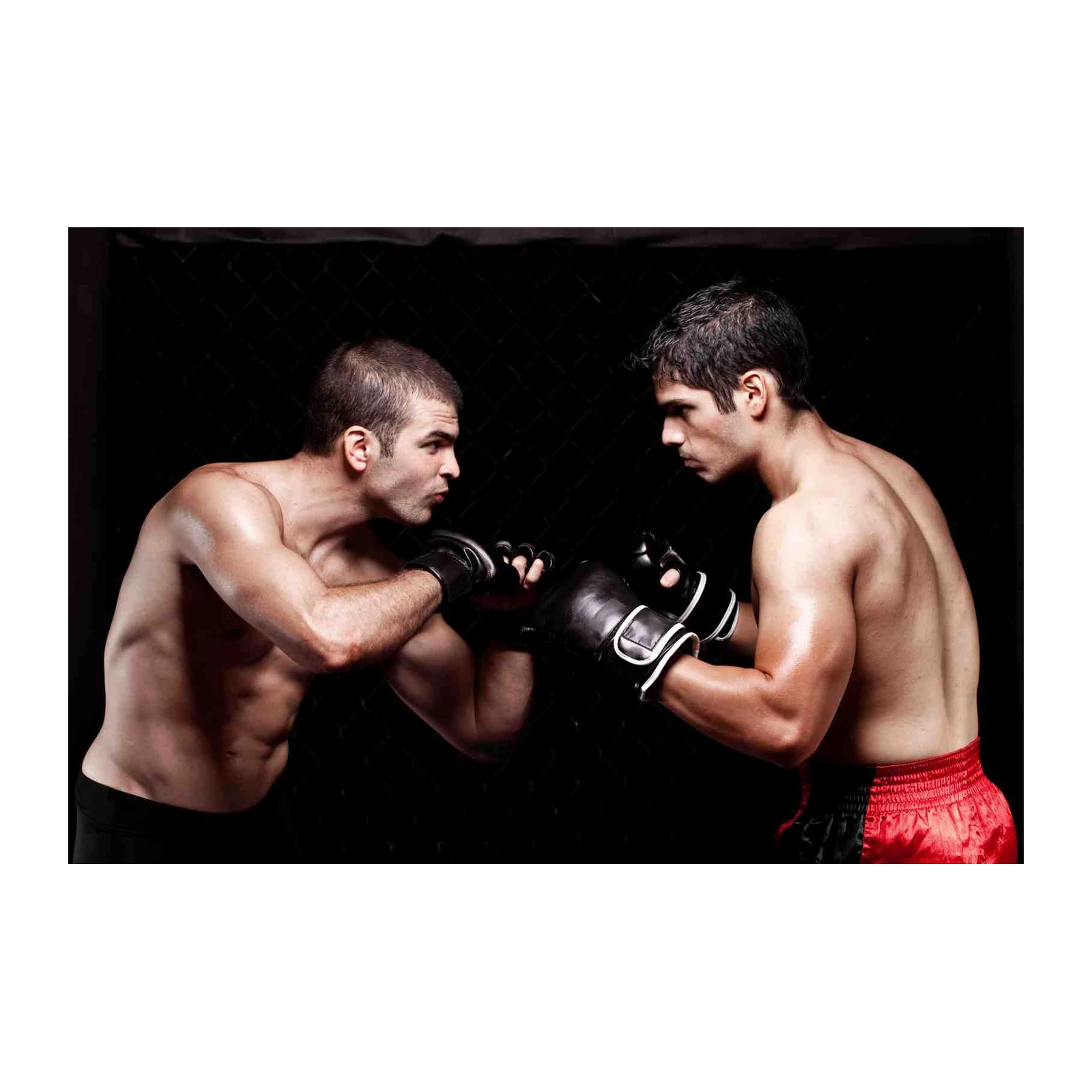 Intense MMA Fighter Stare Down Wall Art