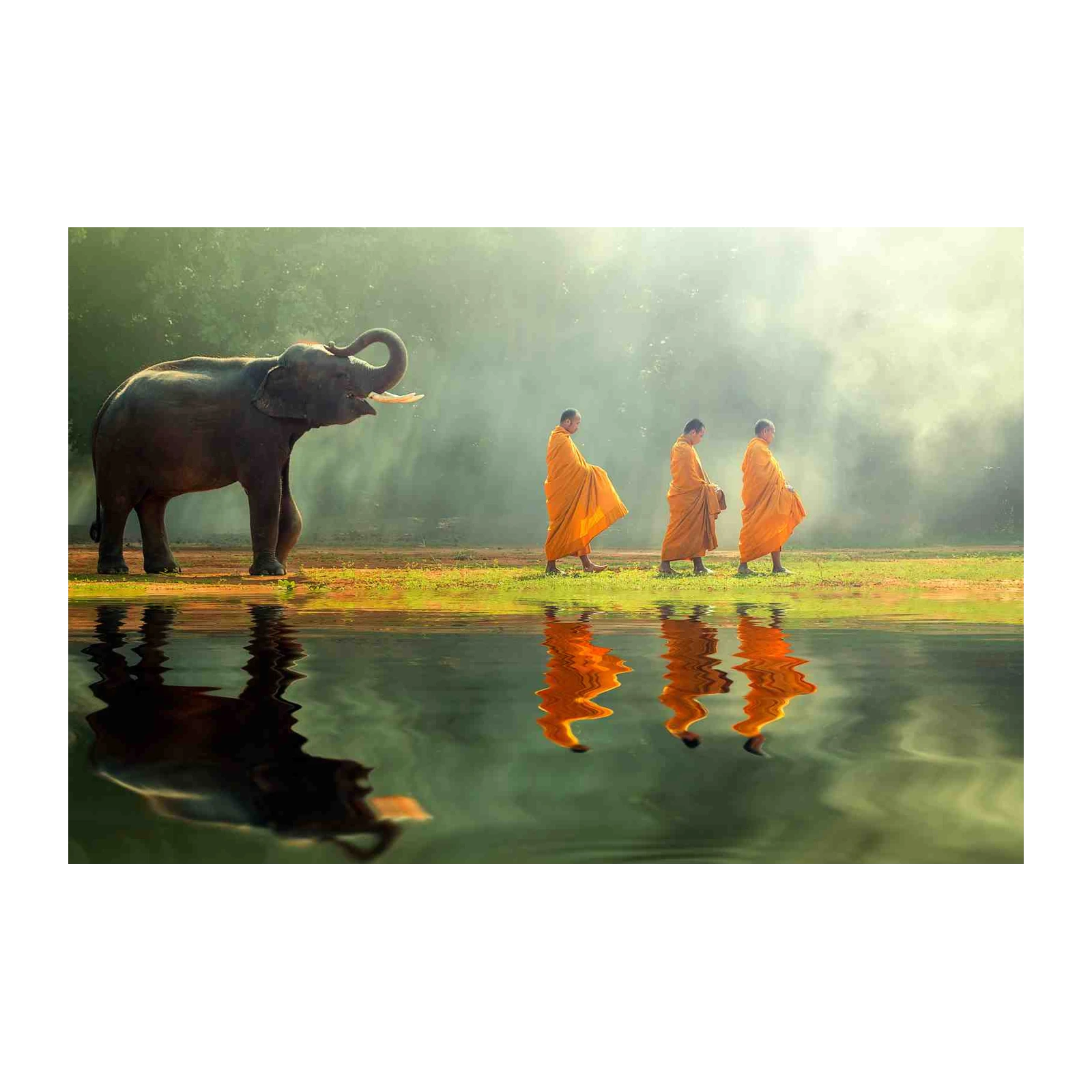 Serene Elephant & Monks Journey Wall Art
