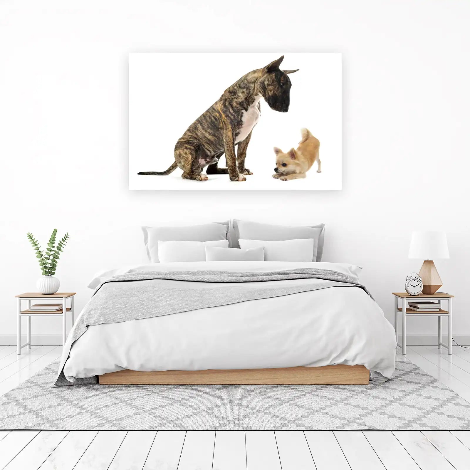 Playful Bull Terrier & Chihuahua Duo Wall Art